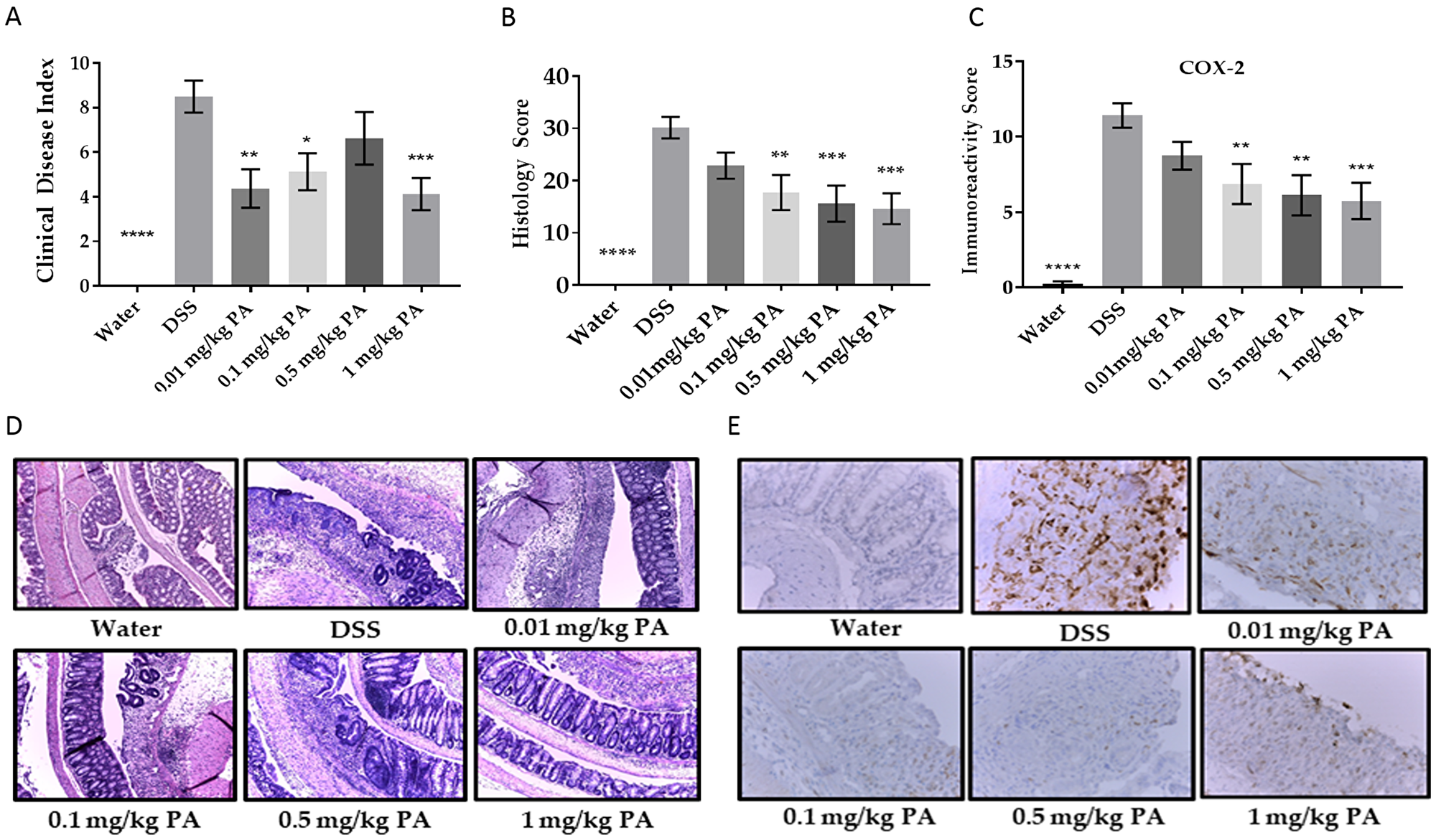 Panaxynol suppresses DSS-induced colitis in mice