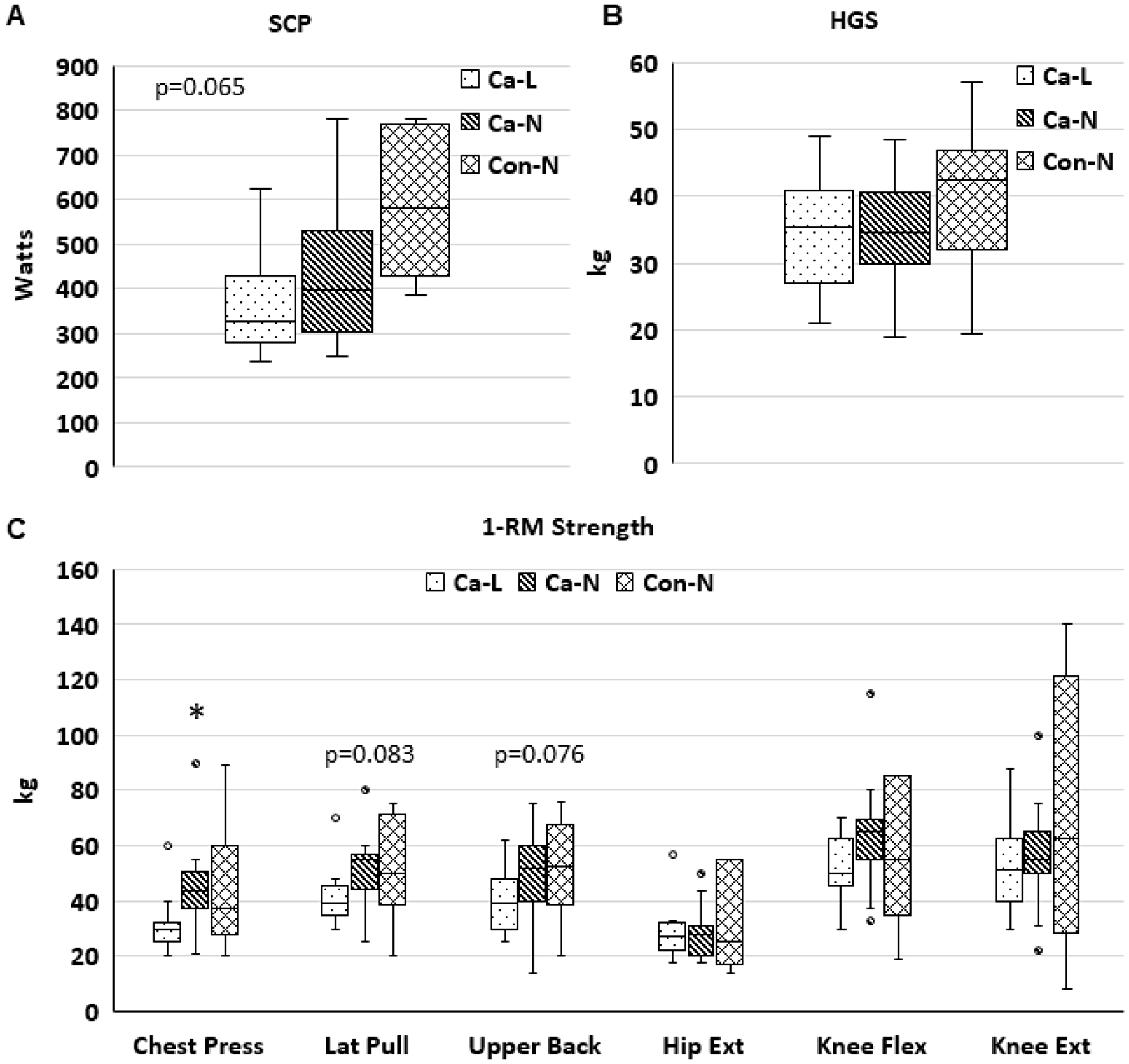 Physical function in patients with low or normal CT-SMI
