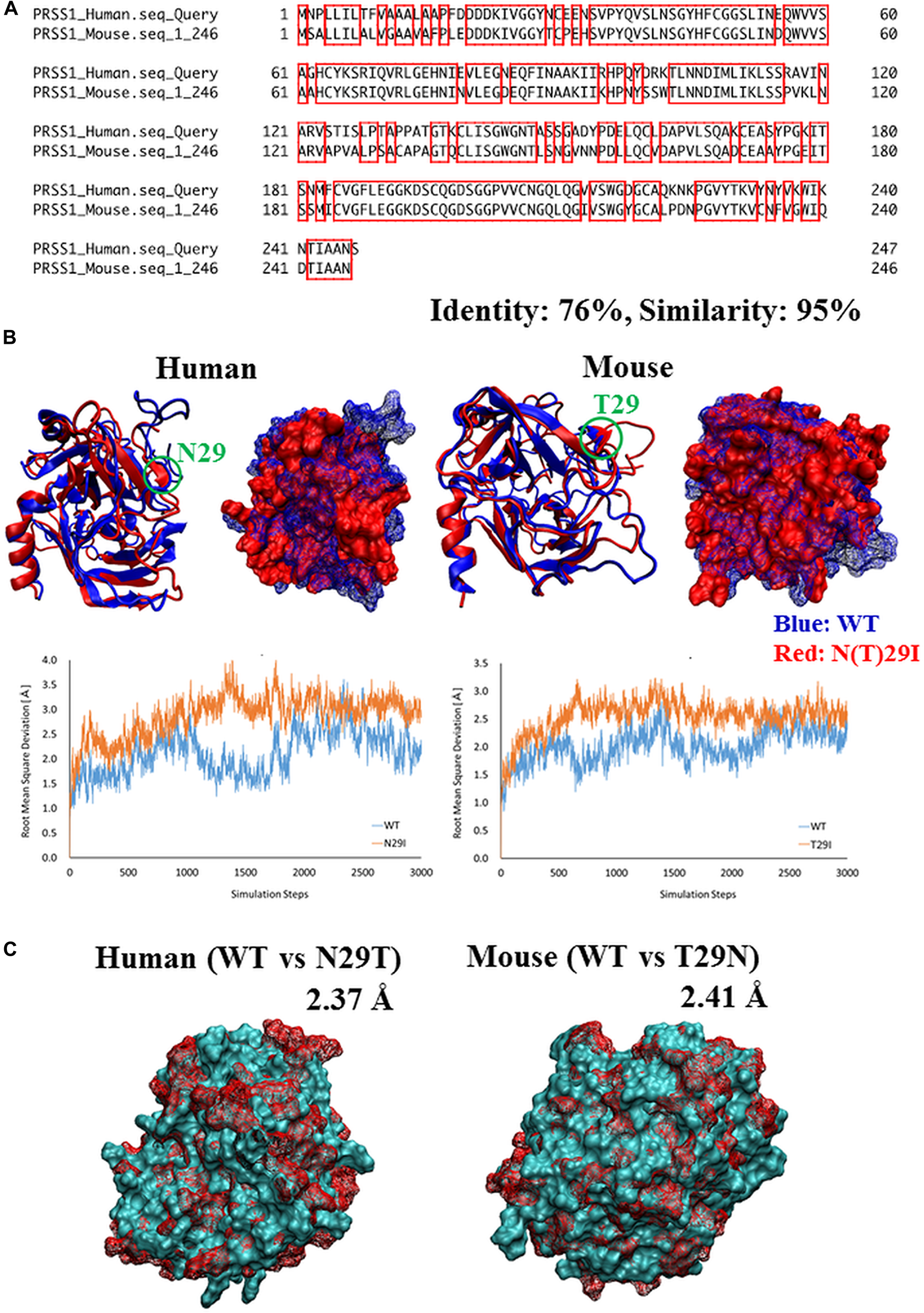 Comparison of Prss1 between human and mouse