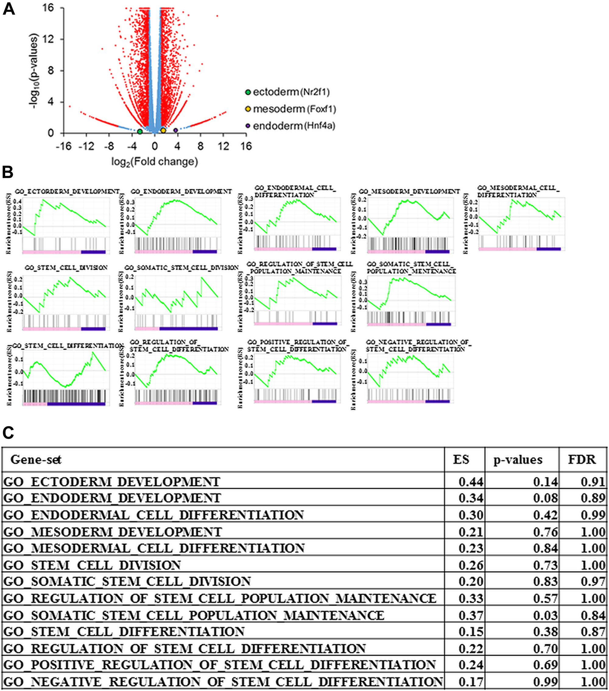 Gene expression of Prss1T29I ESCs