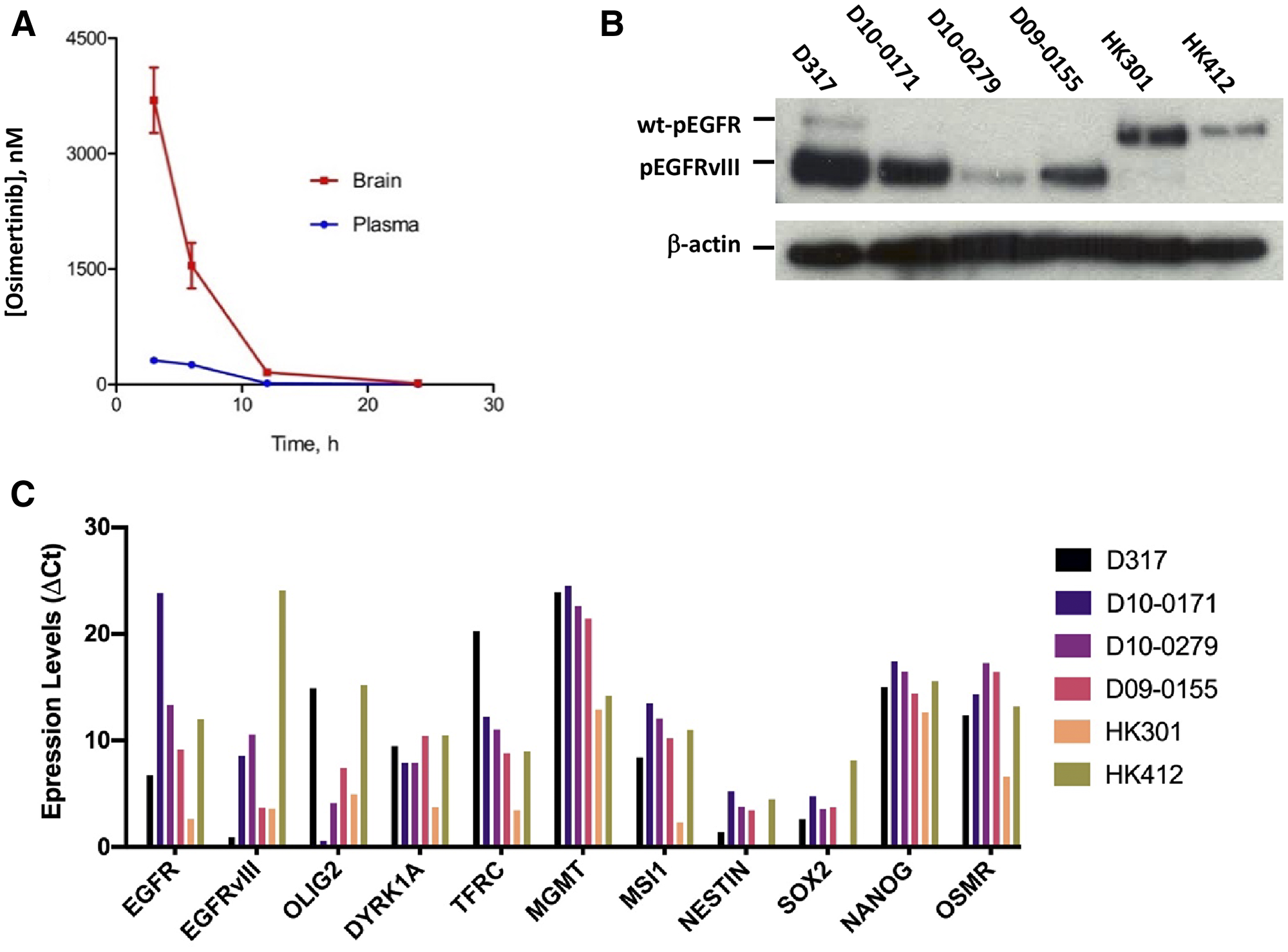 Pharmacokinetics of osimertinib and characterization of EGFRvIII+ GSCs