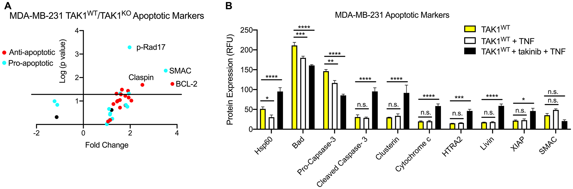 Both TAK1KO and TAK1WT cells treated with takinib + TNF are phenotypically distinguishable from TAK1WT