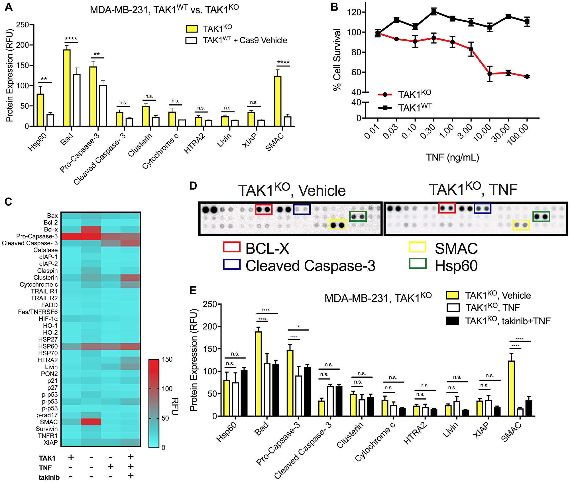 The efficacy of TAK1 inhibition on cell death is characterized by TAK1KO, as well as takinib + TNF treatment