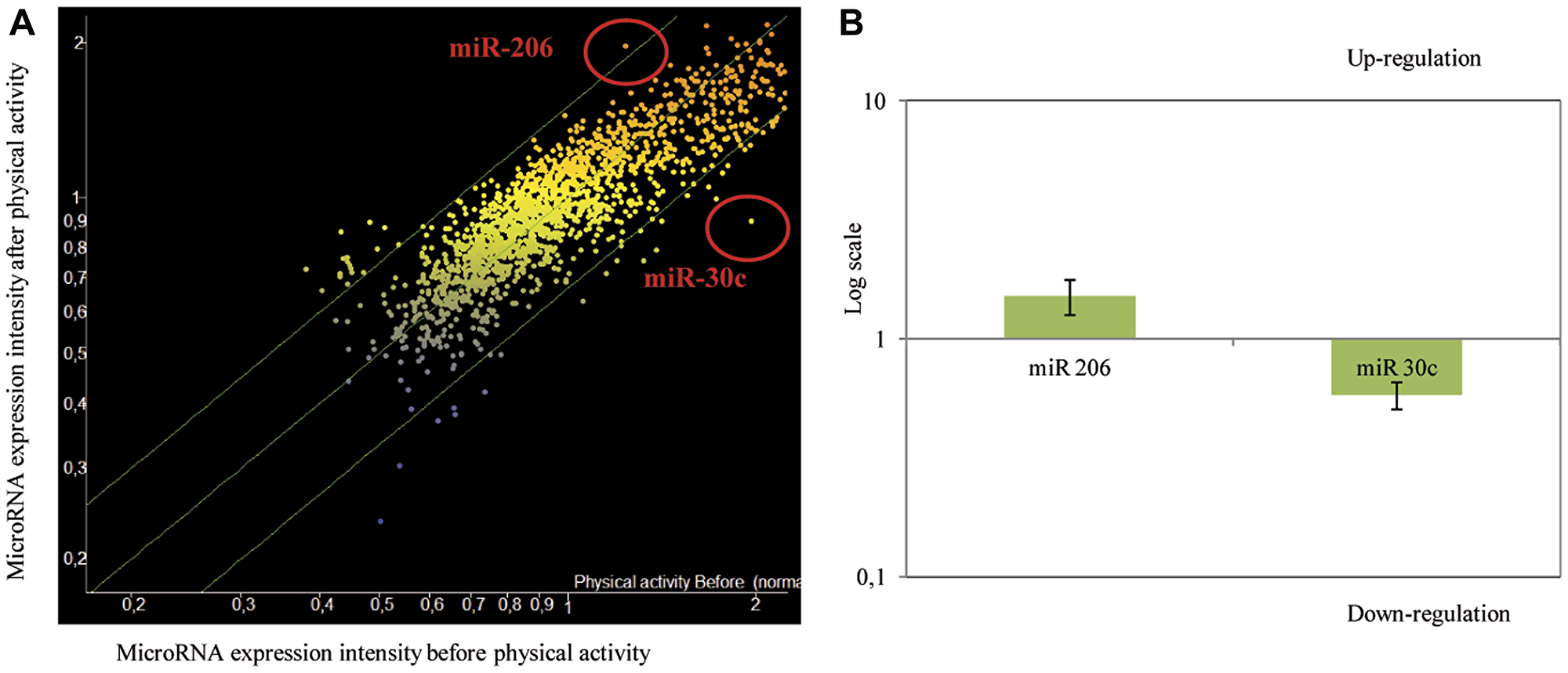 (A) Scatter plot reporting variations of miRNA expression before and after physical activity as evaluated by microarray in 30 subjects testing 1,900 microRNAs in blood plasma. MiRNAs, whose expression was modified by physical activity, were identified as red dots in scatter-plot. (B) Up-modulation of miR-206 and down-modulation of miR-30c in transfected MCF7 cells (logarithmic scale). qPCR analysis of miR-206 and miR-30c expression after transfection of miR-206 mimics and miR-30c siRNA. The data were reported as variation in respect to their expression in the control. The fold change in the samples (MCF7 cells transfected with miRNA-mimic and/or siRNA) was normalized to the reference RNU6 and expressed relative to a calibrator sample (mock MCF7 sample) using the 2−(ΔΔCt &pm; SD) method.