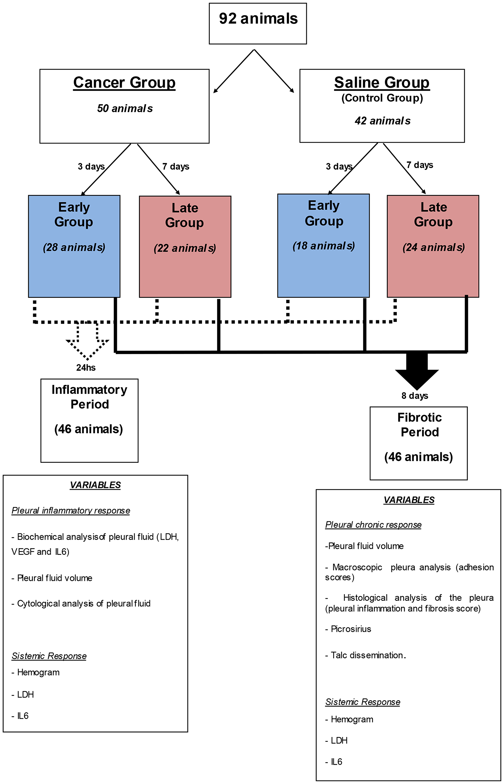 Algorithm of the subdivision of the groups, times and analyzes performed