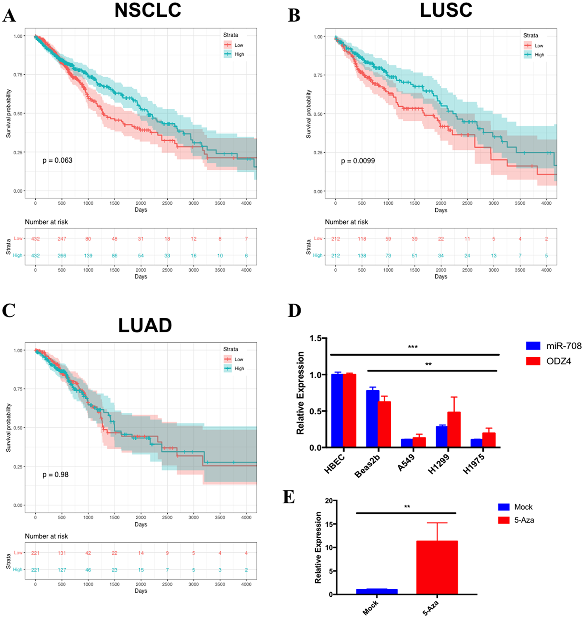 miR-708 expression correlates with survival rates and is underexpressed in lung cancer cell lines