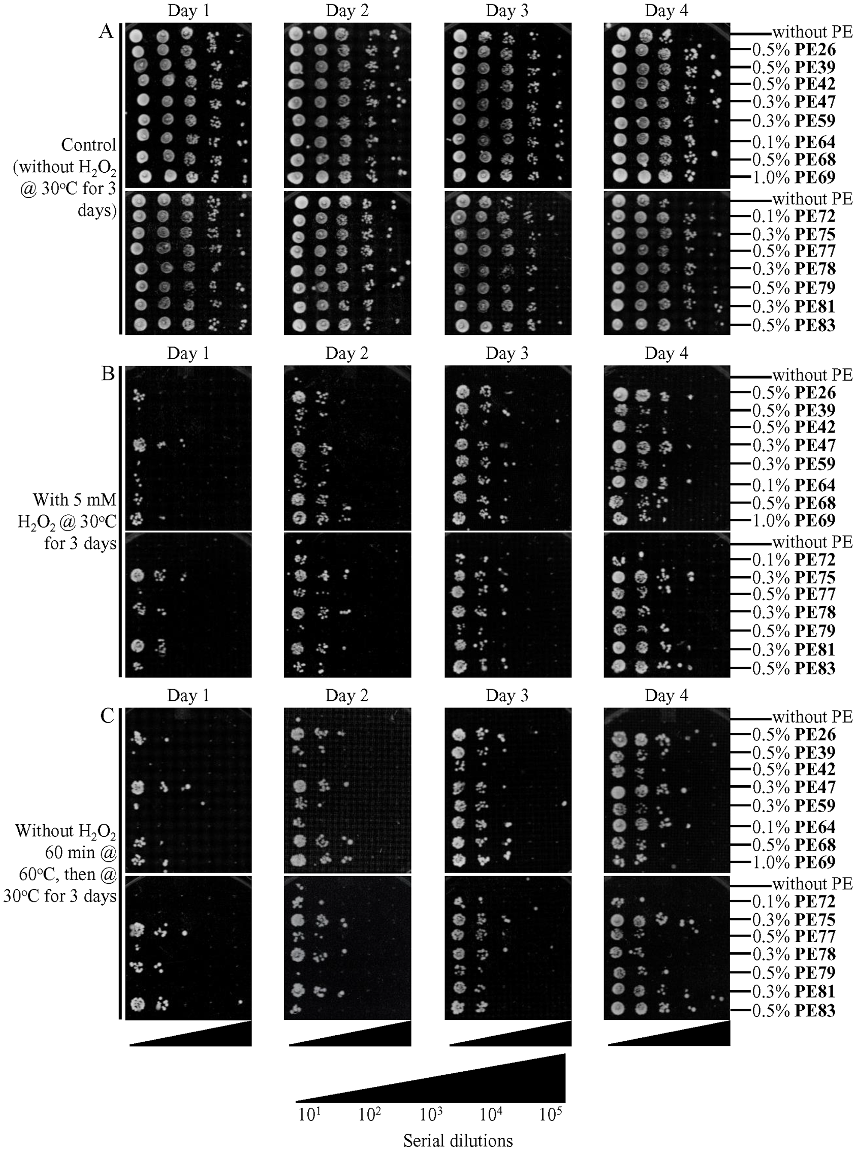 Each of the fifteen geroprotective PEs makes yeast more resistant to chronic (long-term) oxidative and thermal stresses