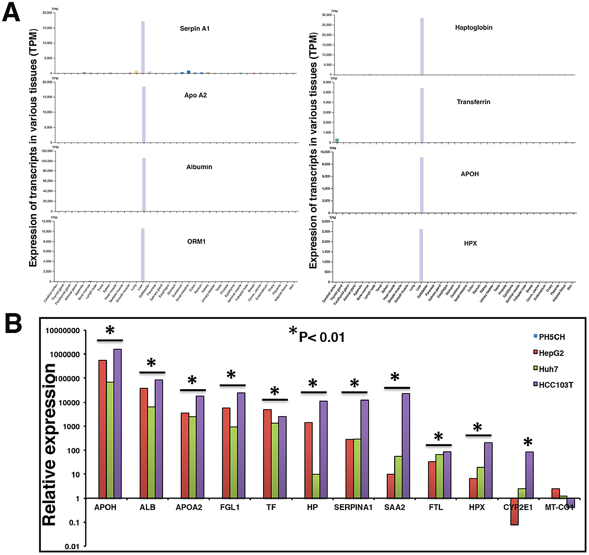 Liver specificity of circulating transcripts investigated in Human Protein Atlas (HPA) dataset, HCC tumor, and cell lines