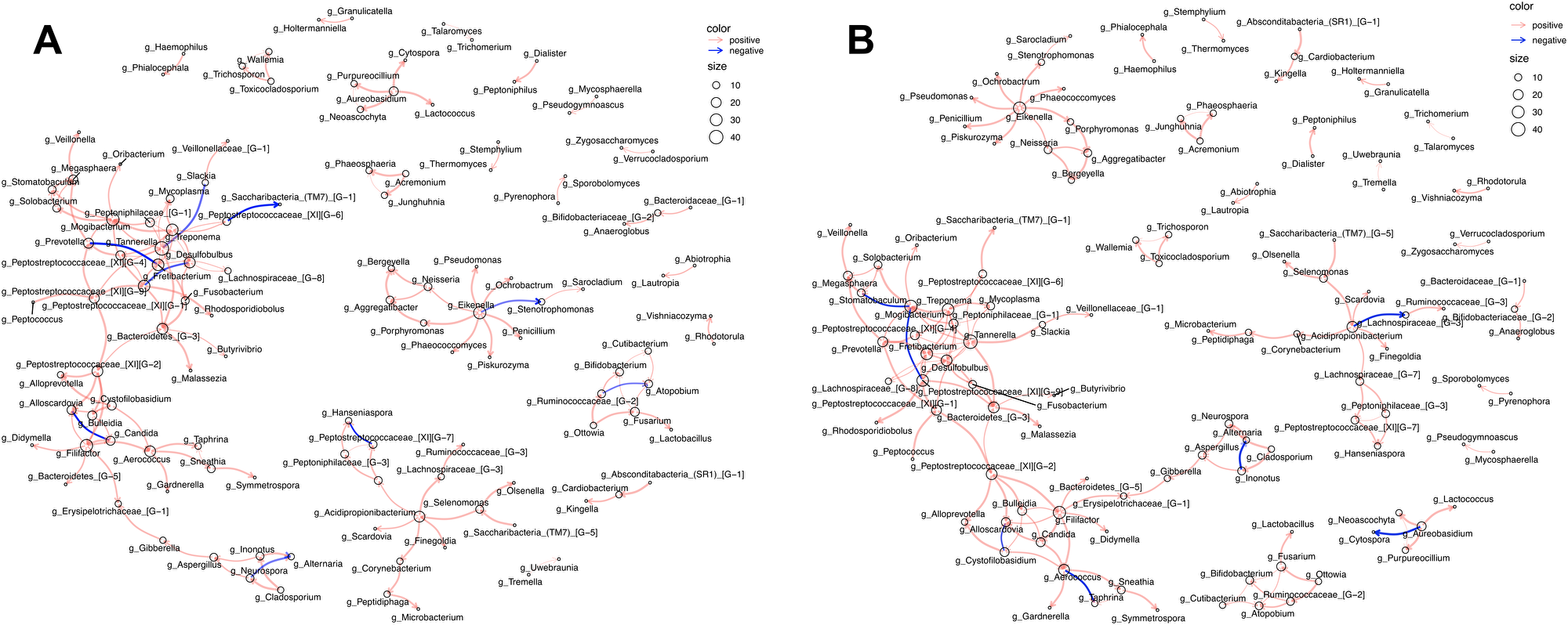 Network analysis depicting intra-kingdom and inter-kingdom correlations
