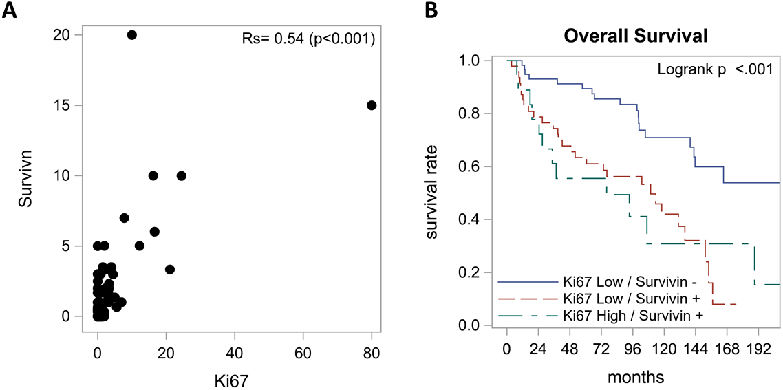 Relationship between survivin expression and Ki-67 index