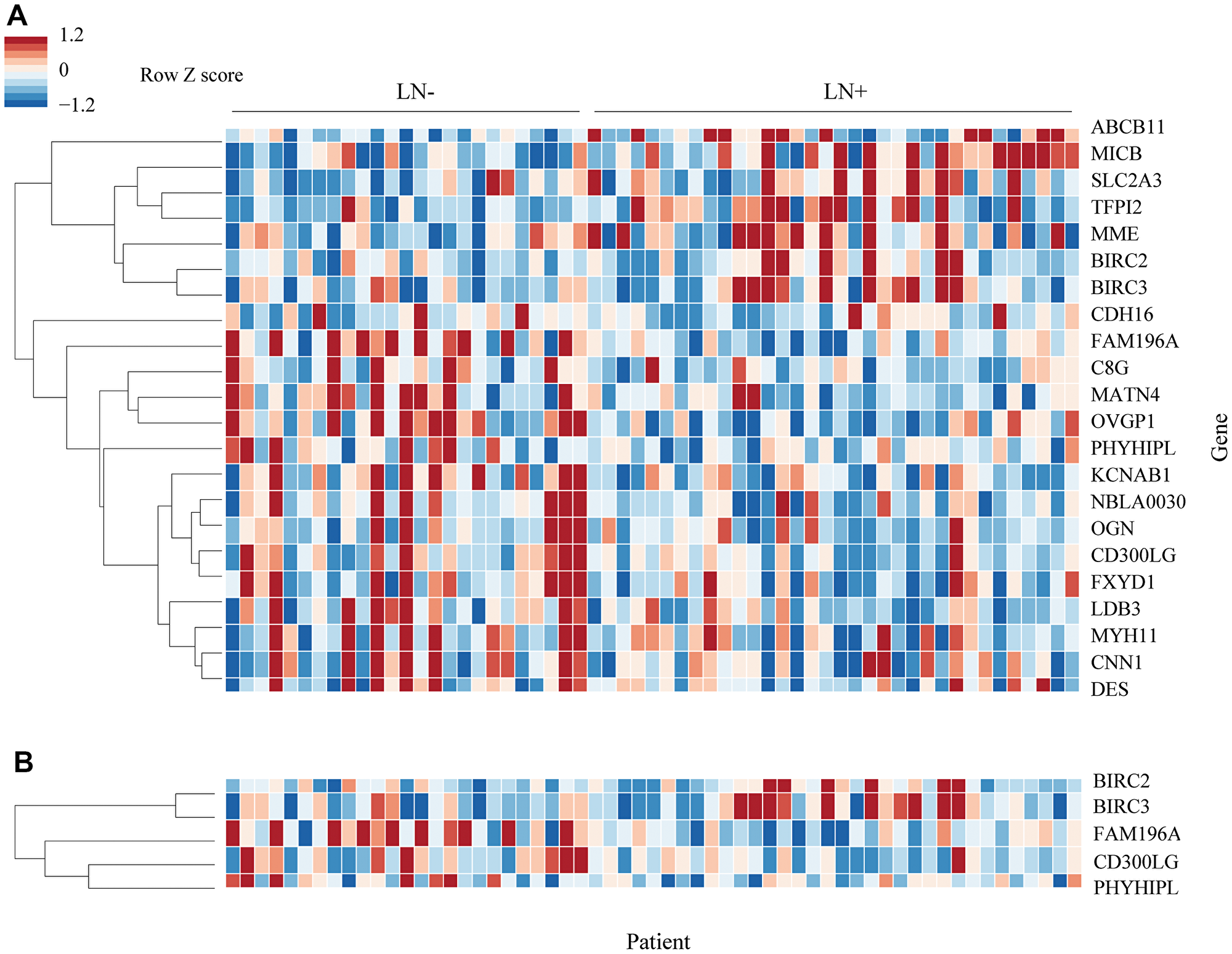 Heatmap of differentially expressed genes