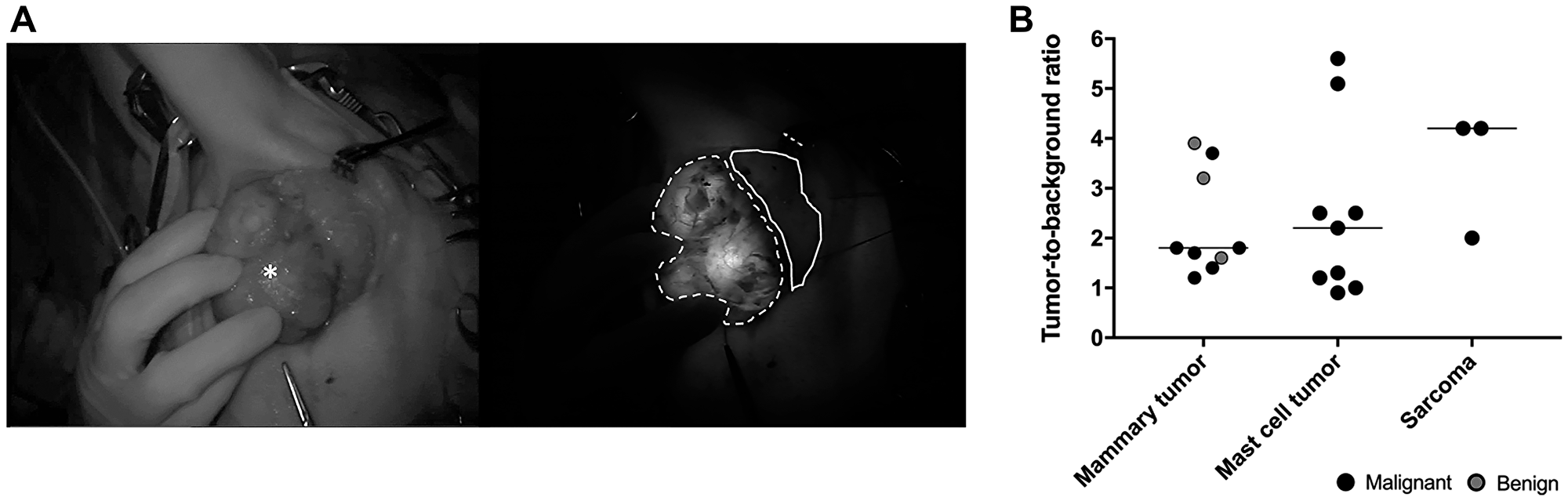 Intra-operative imaging