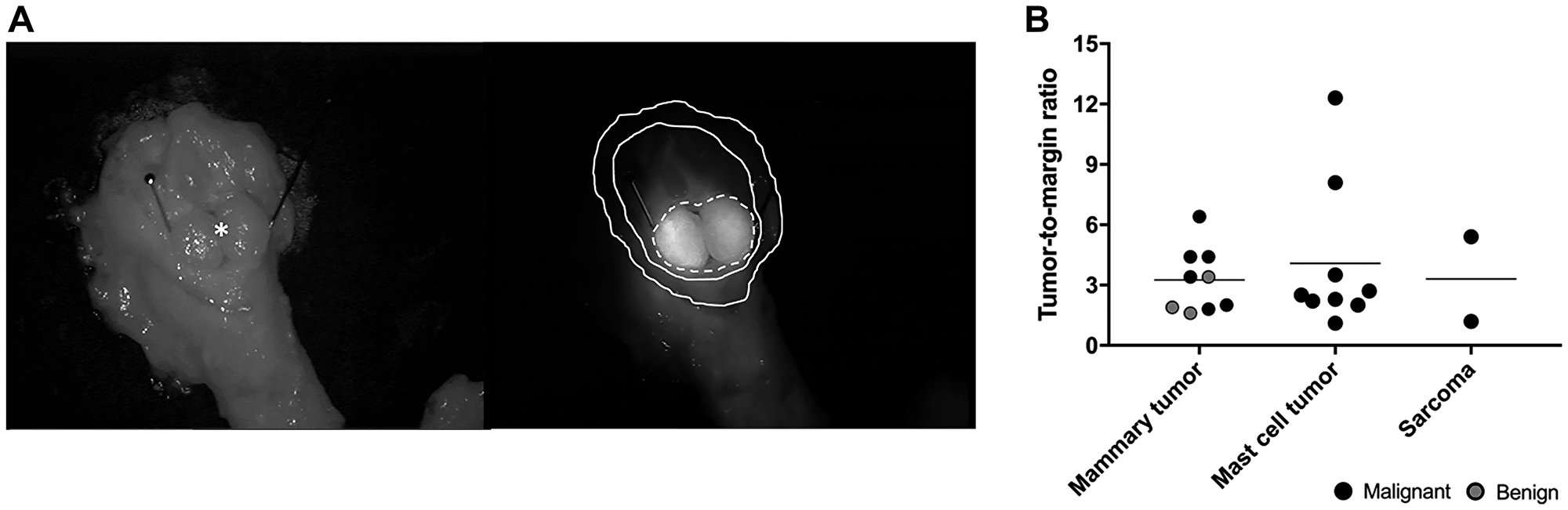 Post-operative imaging