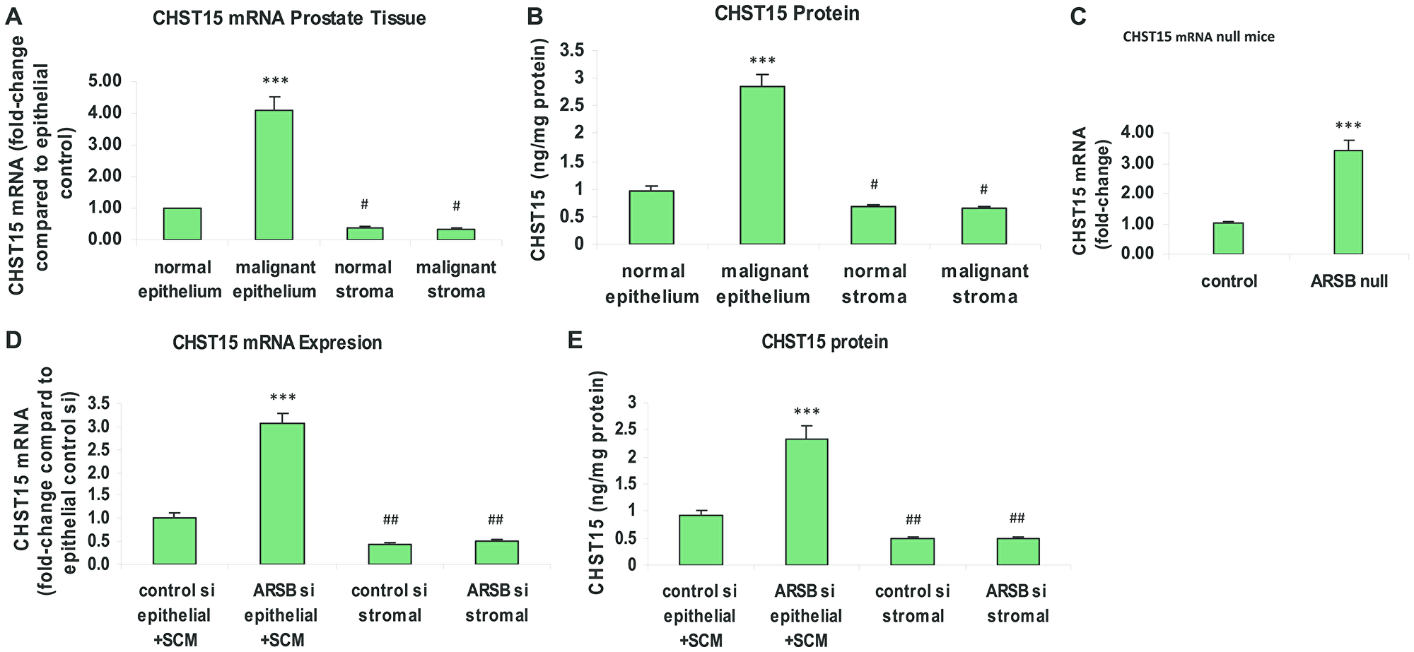 Chondroitin sulfotransferase (CHST) 15 (chondroitin 4-sulfate 6-O-sulfotransferase) is increased in malignant prostate epithelial tissue, in prostate tissue of ARSB-null mice, and in prostate epithelial cells when ARSB is reduced