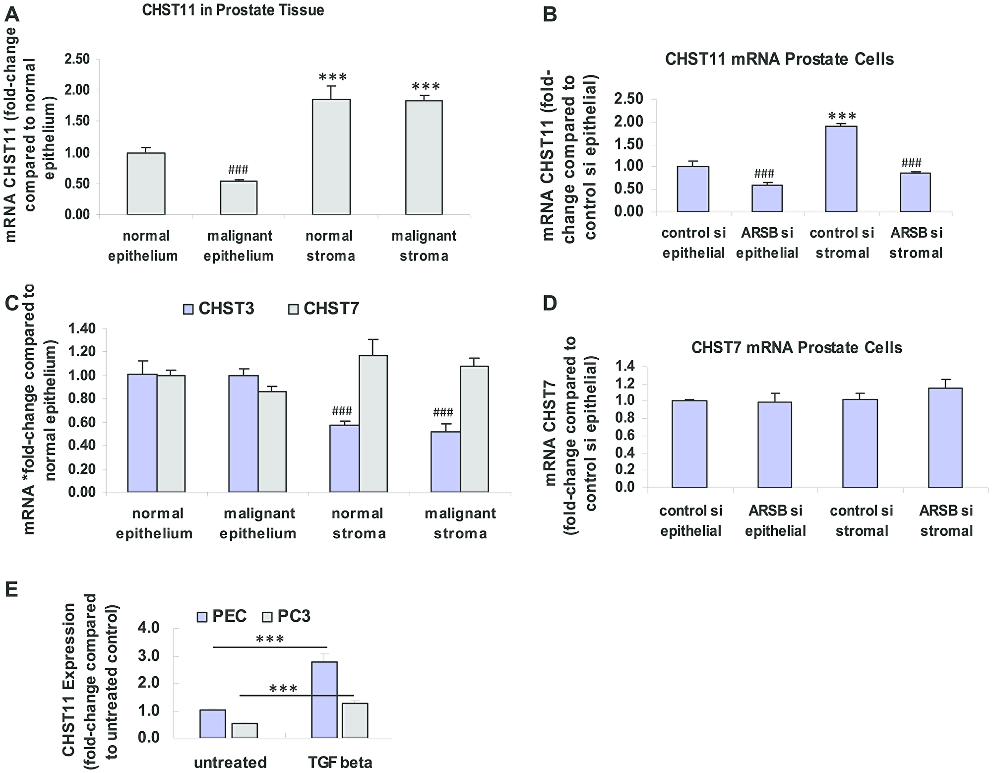 Expression of CHST11, CHST3 and CHST7 in epithelium and stroma