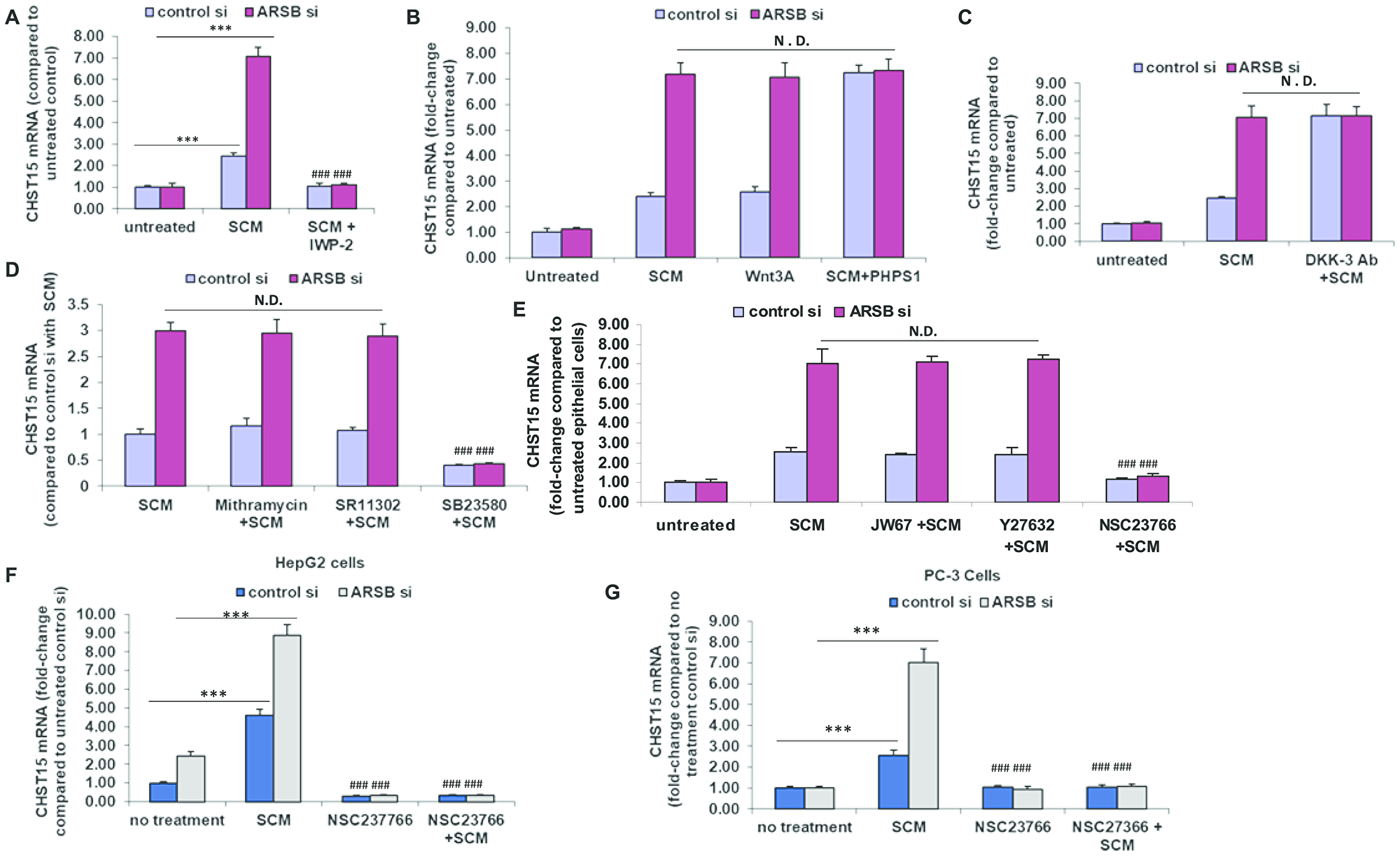 Modification of CHST15 expression in prostate epithelial cells by effects on Wnt signaling