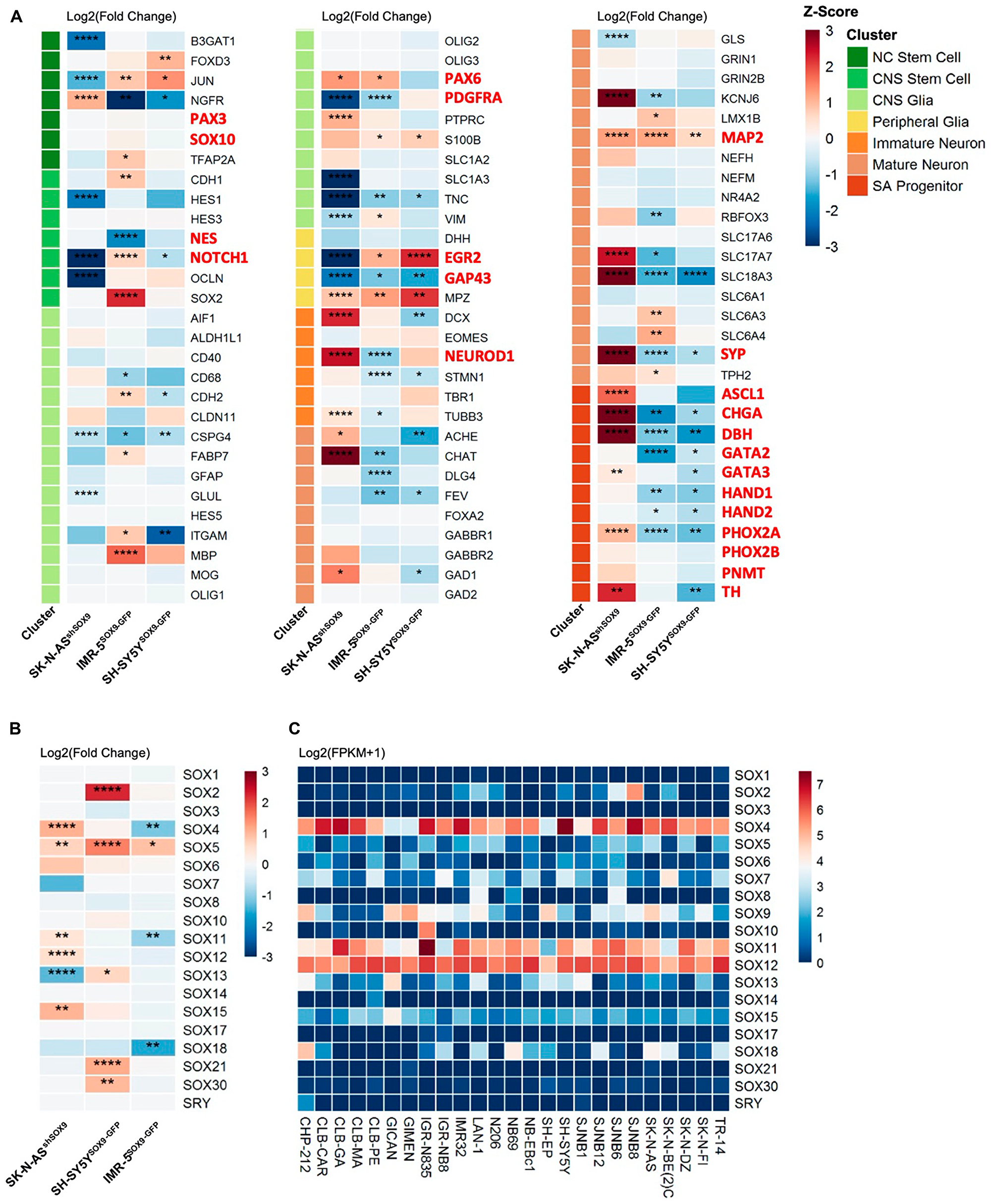 Lack of NC induction upon SOX9 overexpression and SOX molecular signature associated with NB
