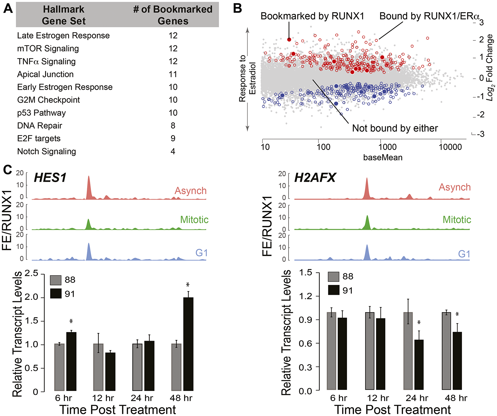 RUNX1-CBFβ complex is a key regulator of the epithelial transcriptome associated with hormone-responsiveness and mammary cell identity