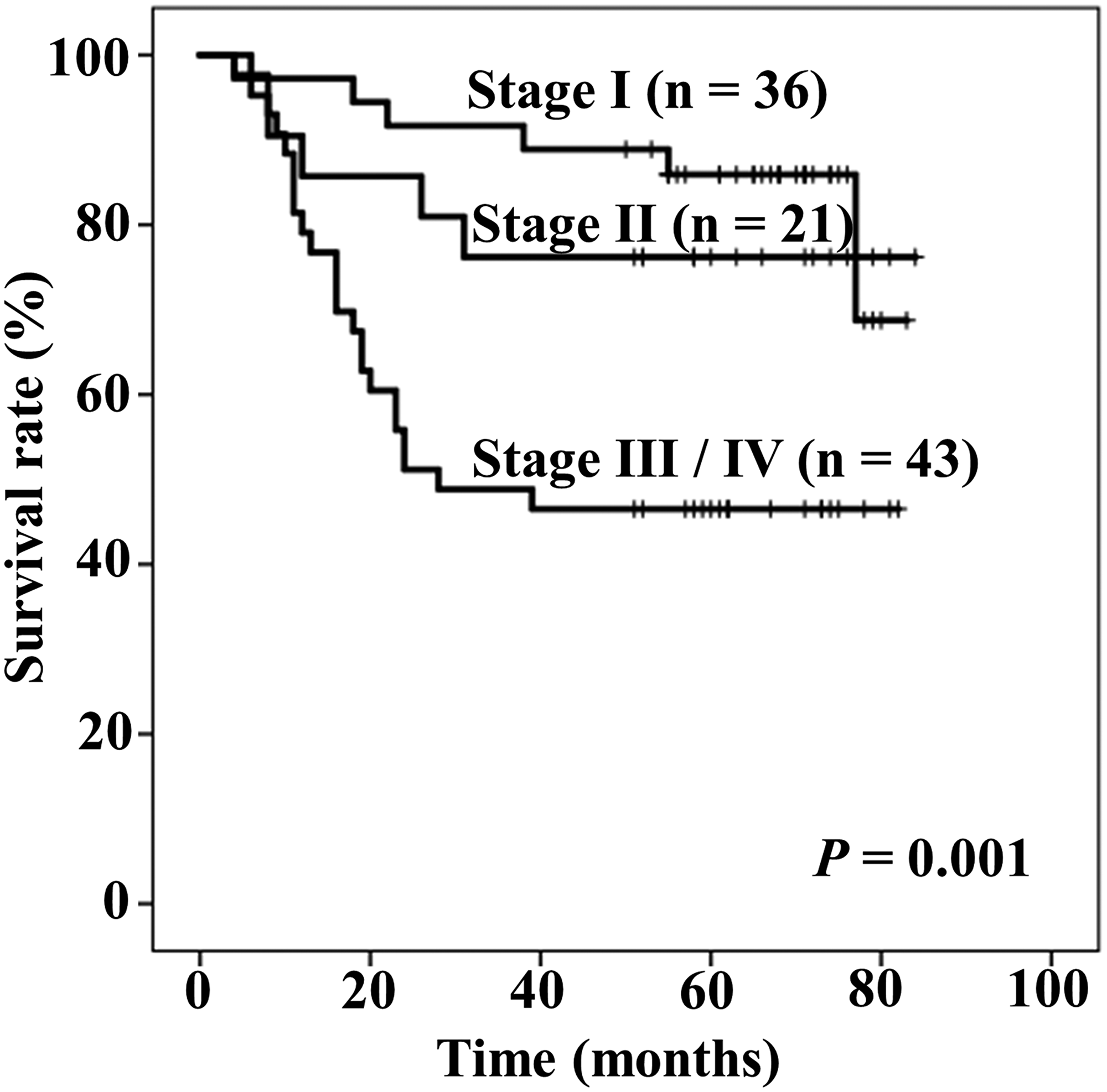 Kaplan–Meier curves of overall survival stratified by Tumor-Node-Metastasis (TNM) stage