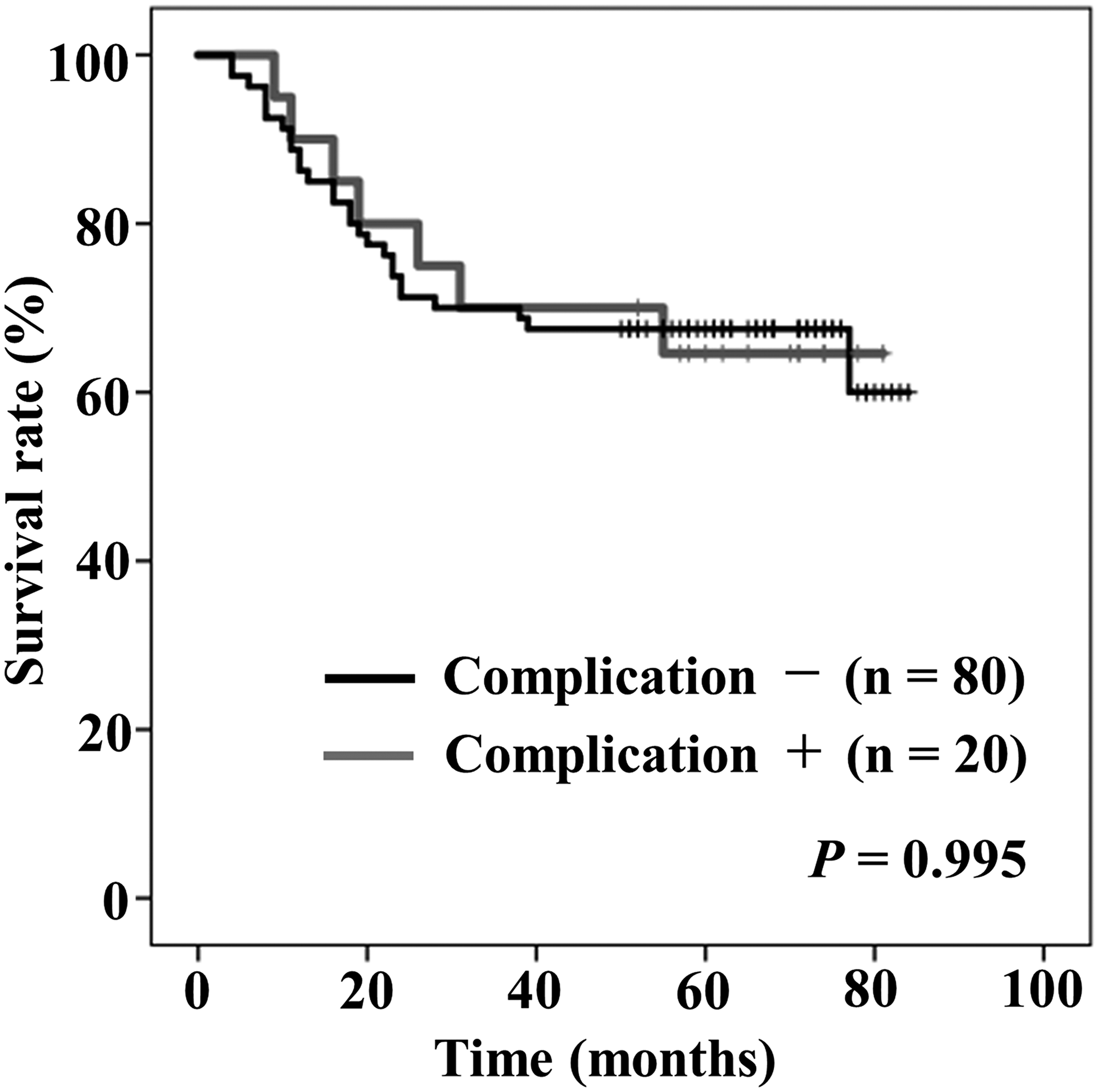 Kaplan–Meier curves of overall survival stratified by the presence (gray) or absence (black) of postoperative complication (more than Clavien-Dindo classification grade IIIa)