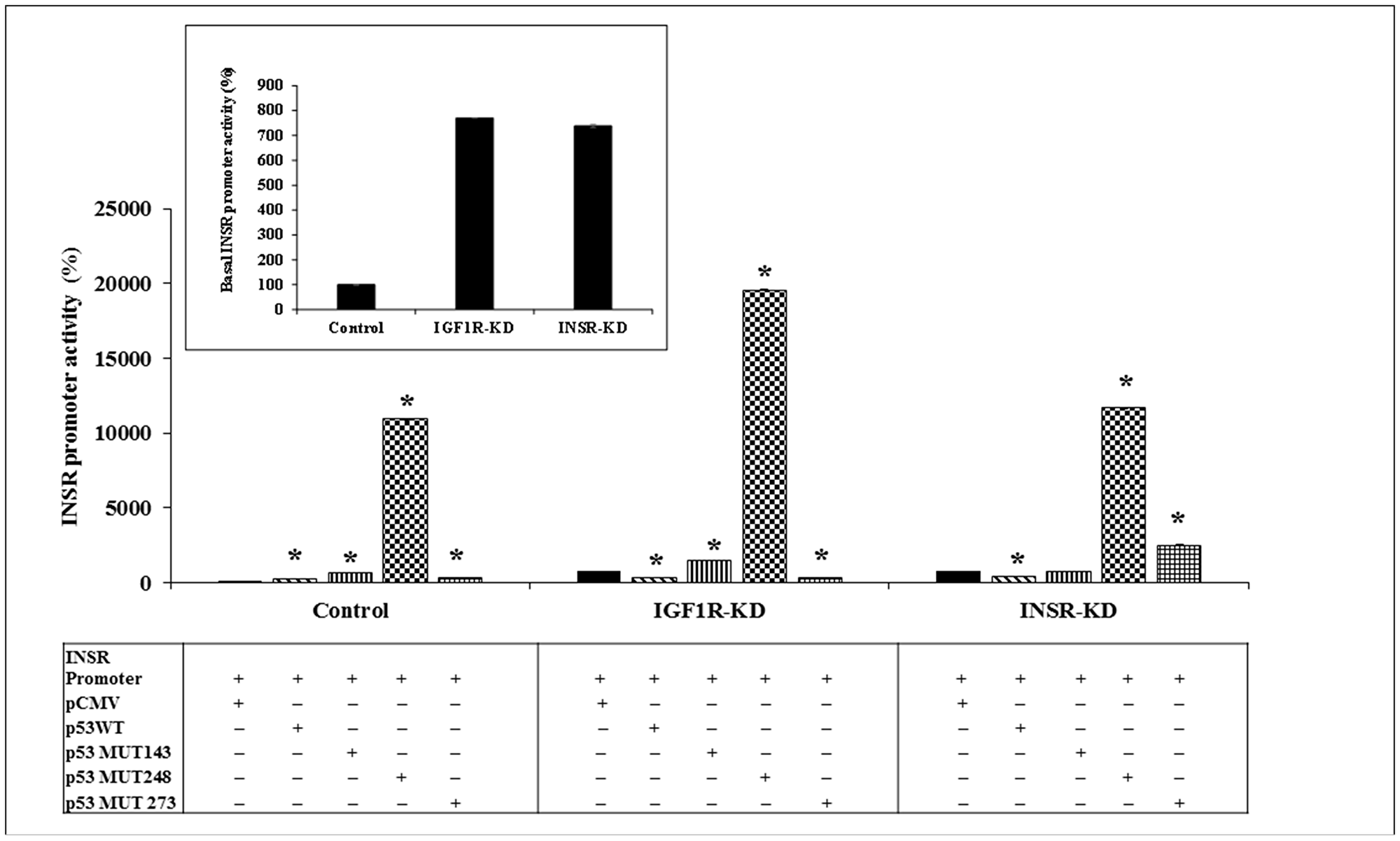 Effect of wild-type or mutant p53 on INSR promoter activity