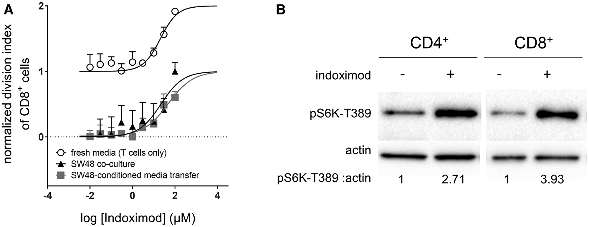 Indoximod augments CD8+ T cell proliferation in both nutrient depleted and nutrient replete conditions