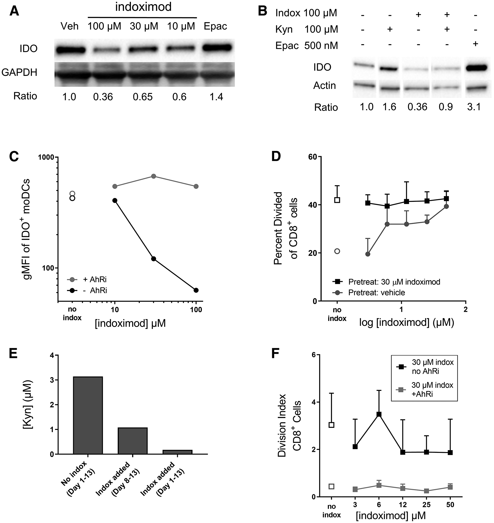 Indoximod downregulates IDO expression in moDC in an AhR-dependent manner