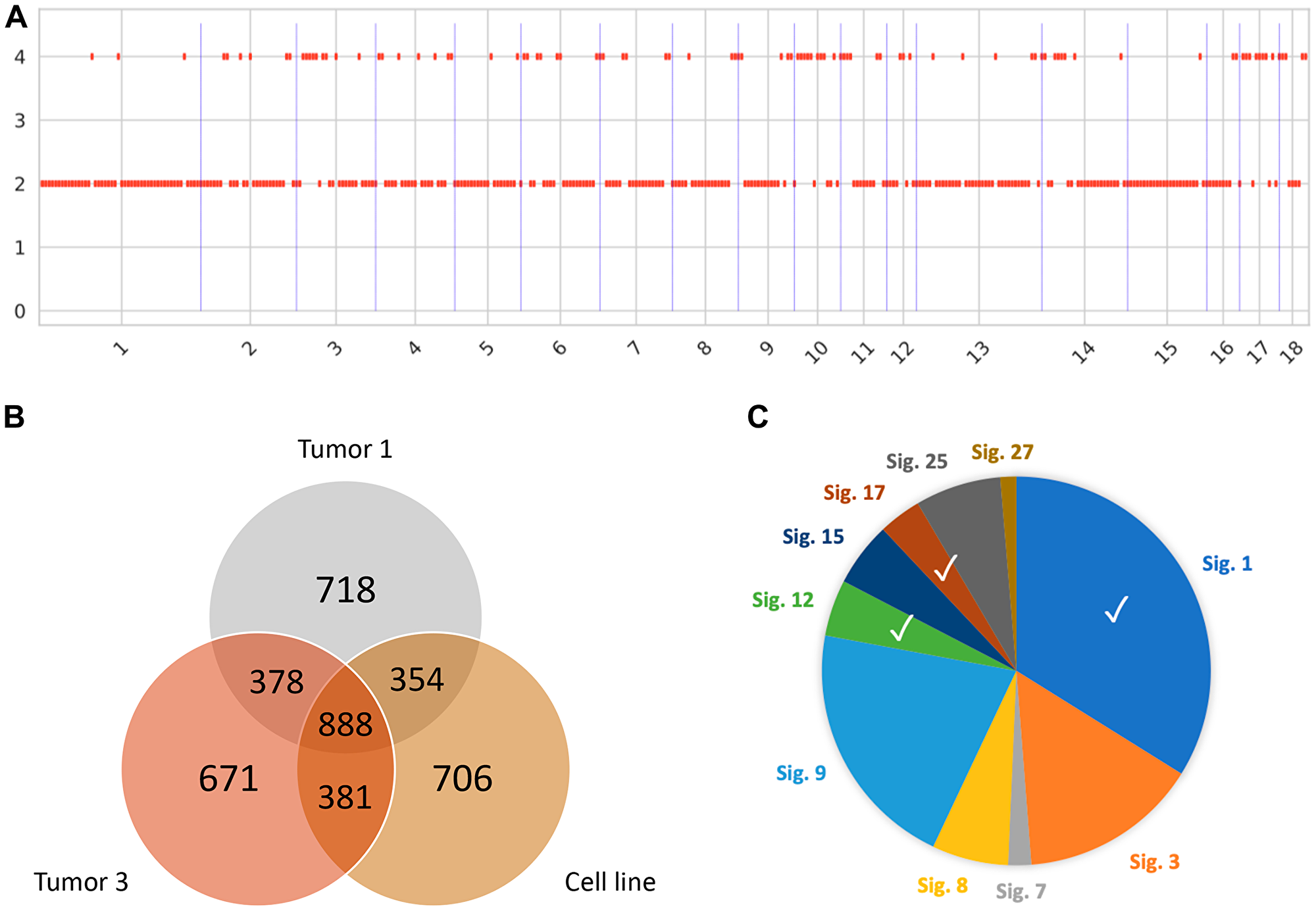 Genomic signatures of Oncopig HCC