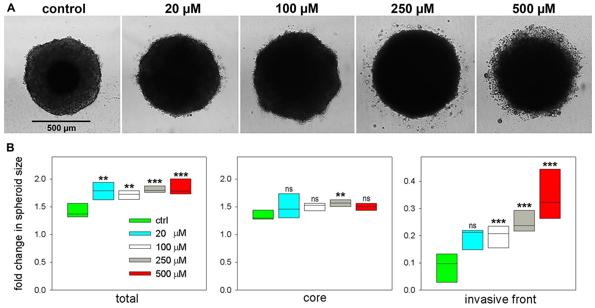 Effect of palmitoyl-lysophosphatidylcholine LPC[16:0] on tumor spheroid invasion and growth