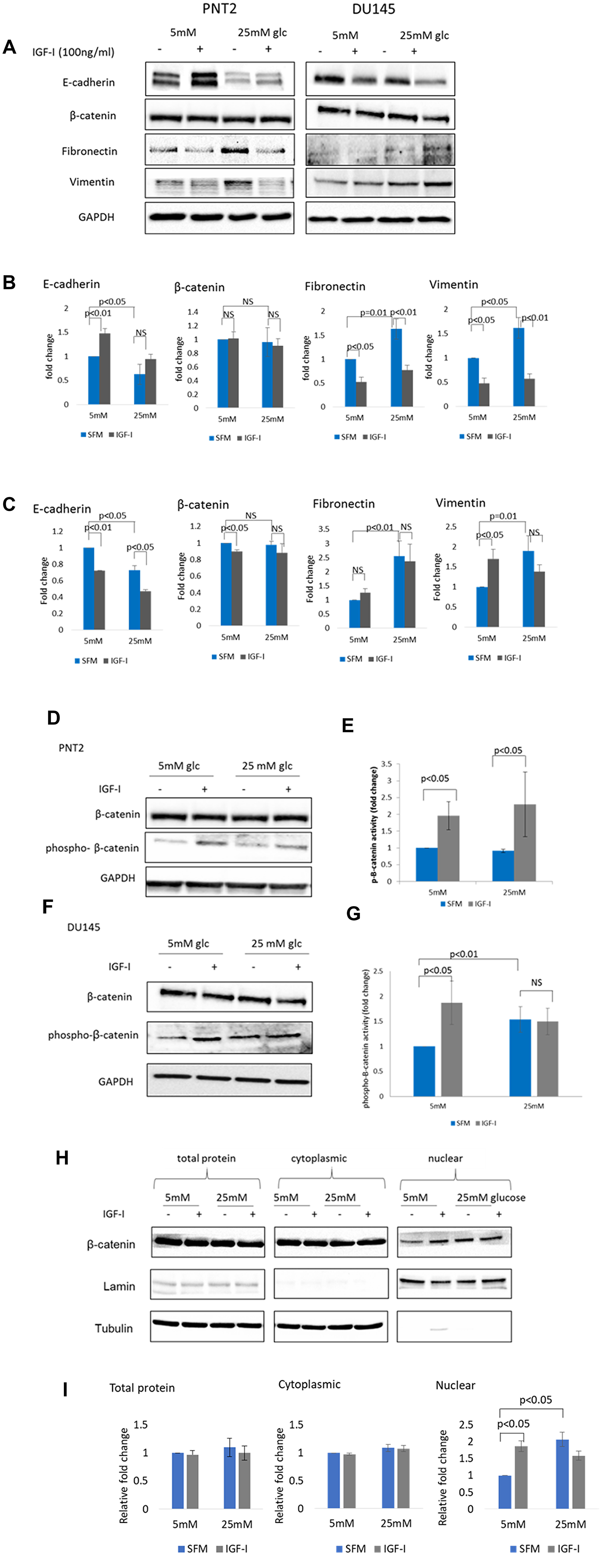 The effect of IGF-I on EMT markers in prostate epithelial cells in altered glucose condition