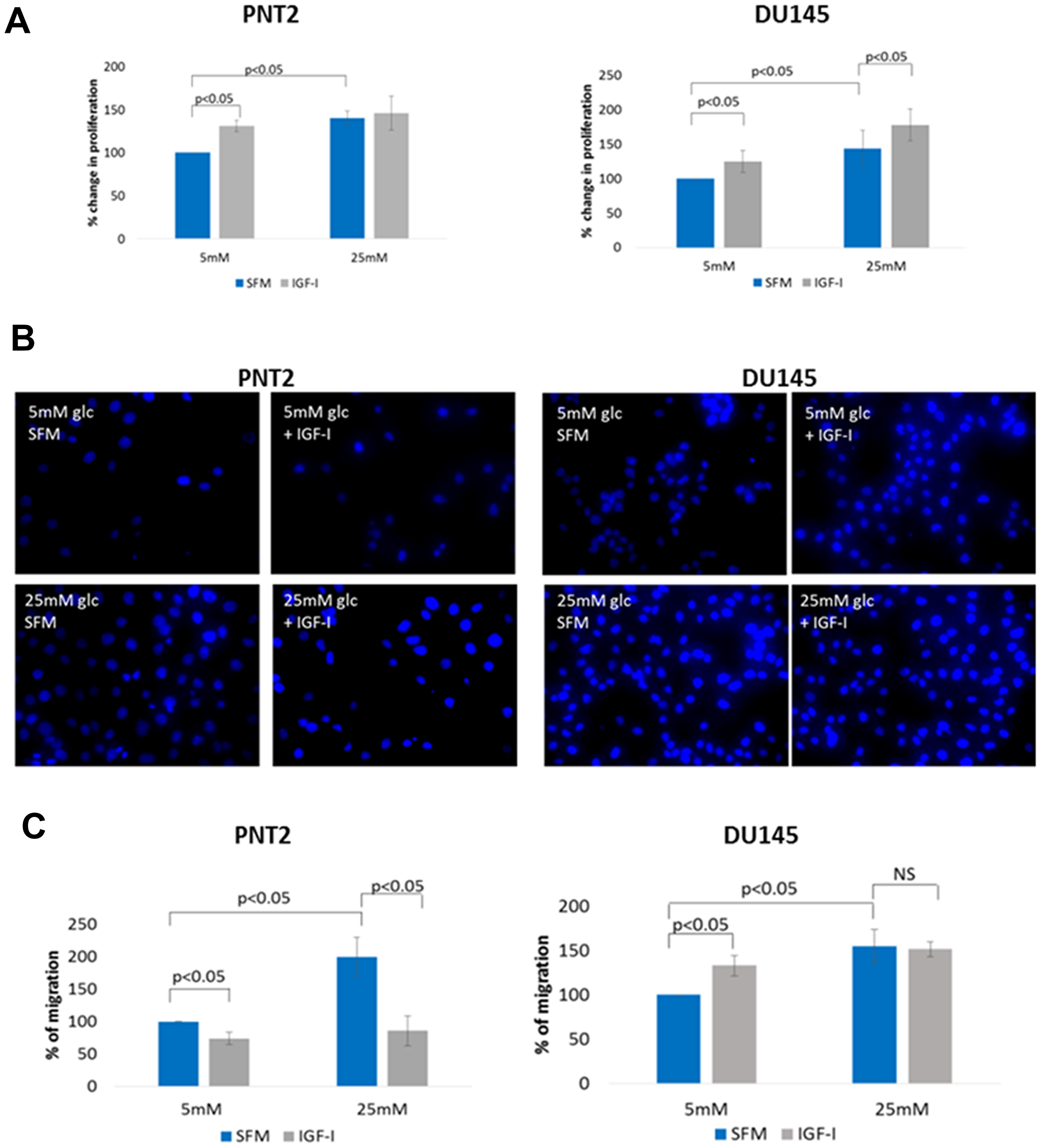 The effect of IGF on cell proliferation and migration in prostate epithelial cells in altered glucose condition