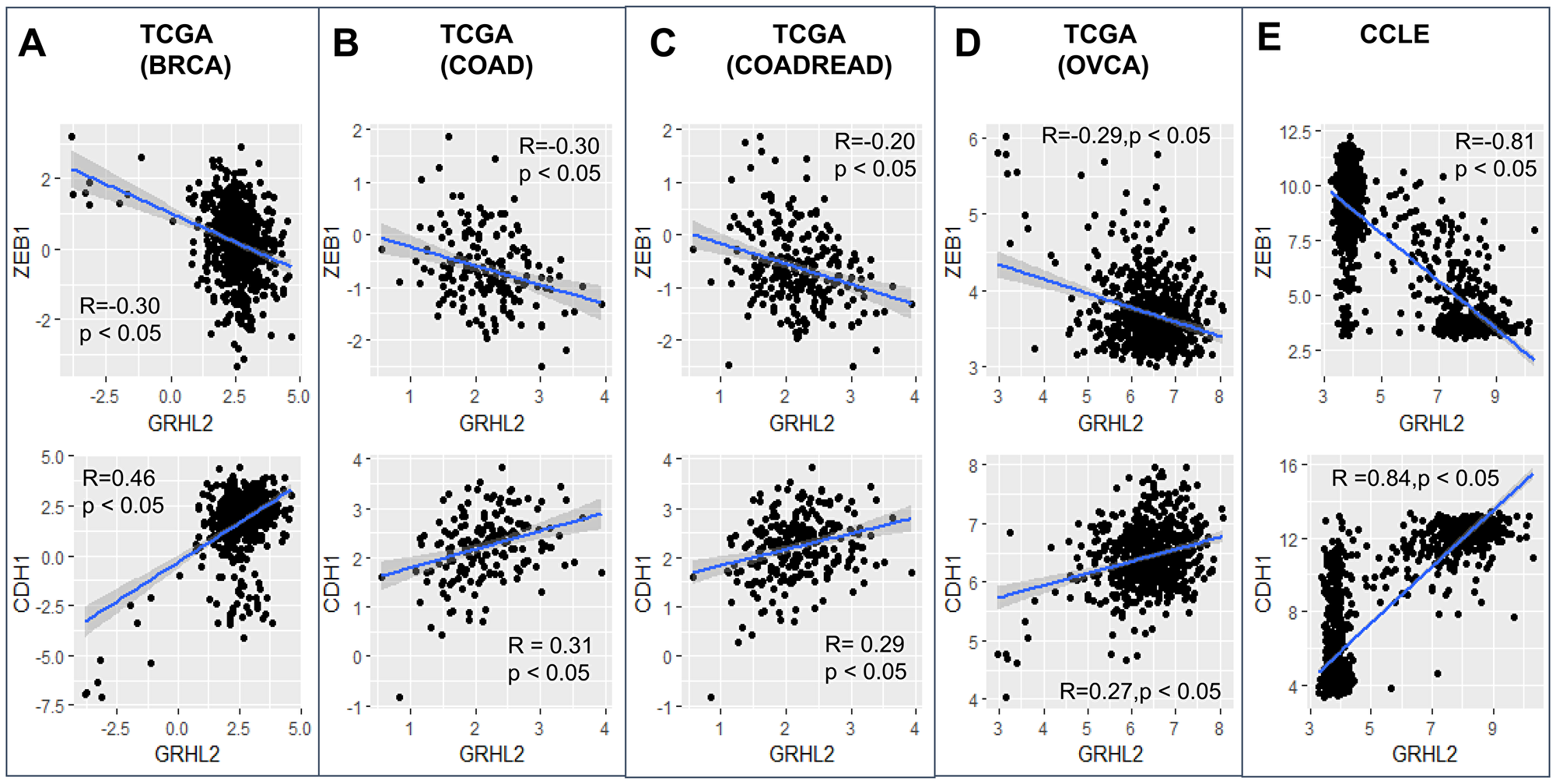 GRHL2 correlates with an epithelial phenotype