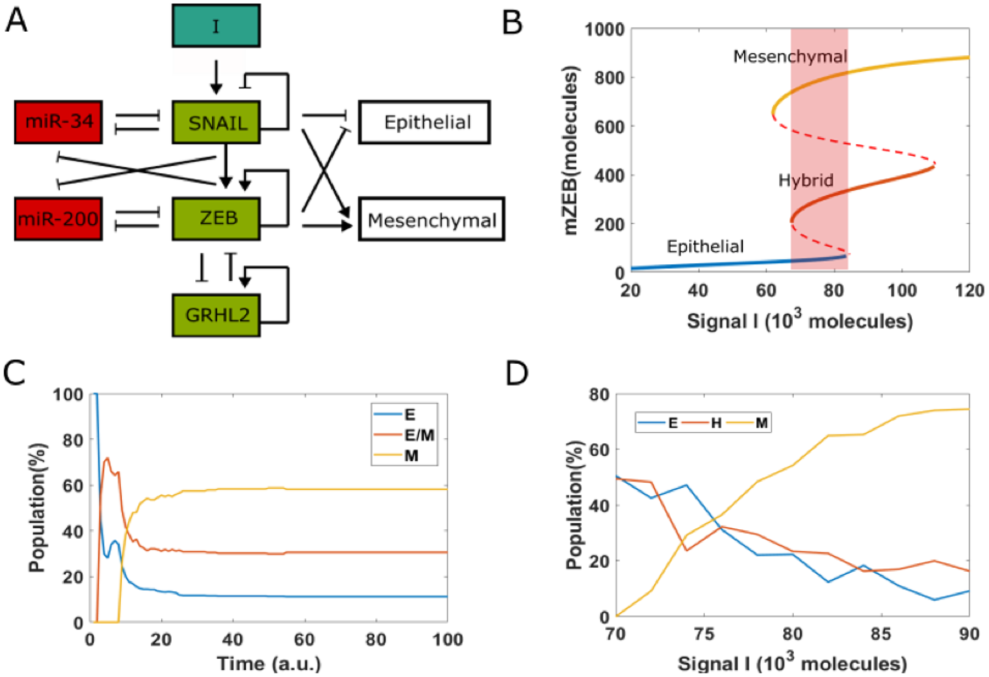 EMT decision-making network