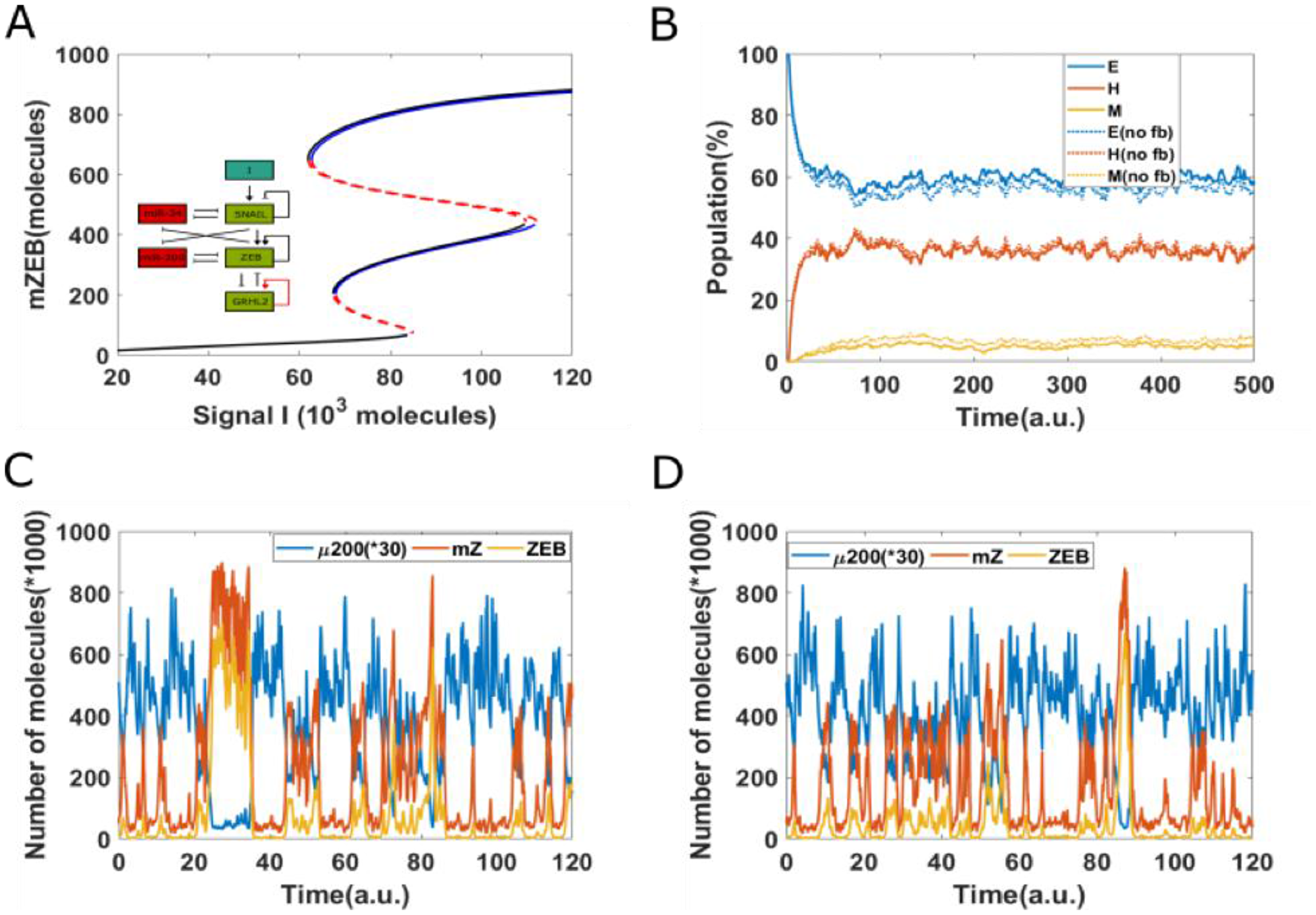 Epigenetic feedback on GRHL2 self-activation