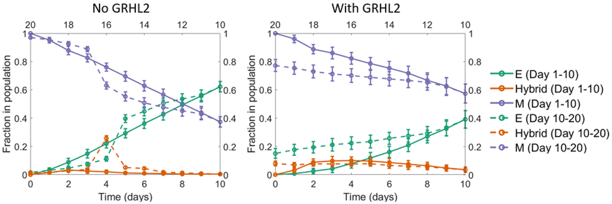 A seemingly irreversible MET at the population level