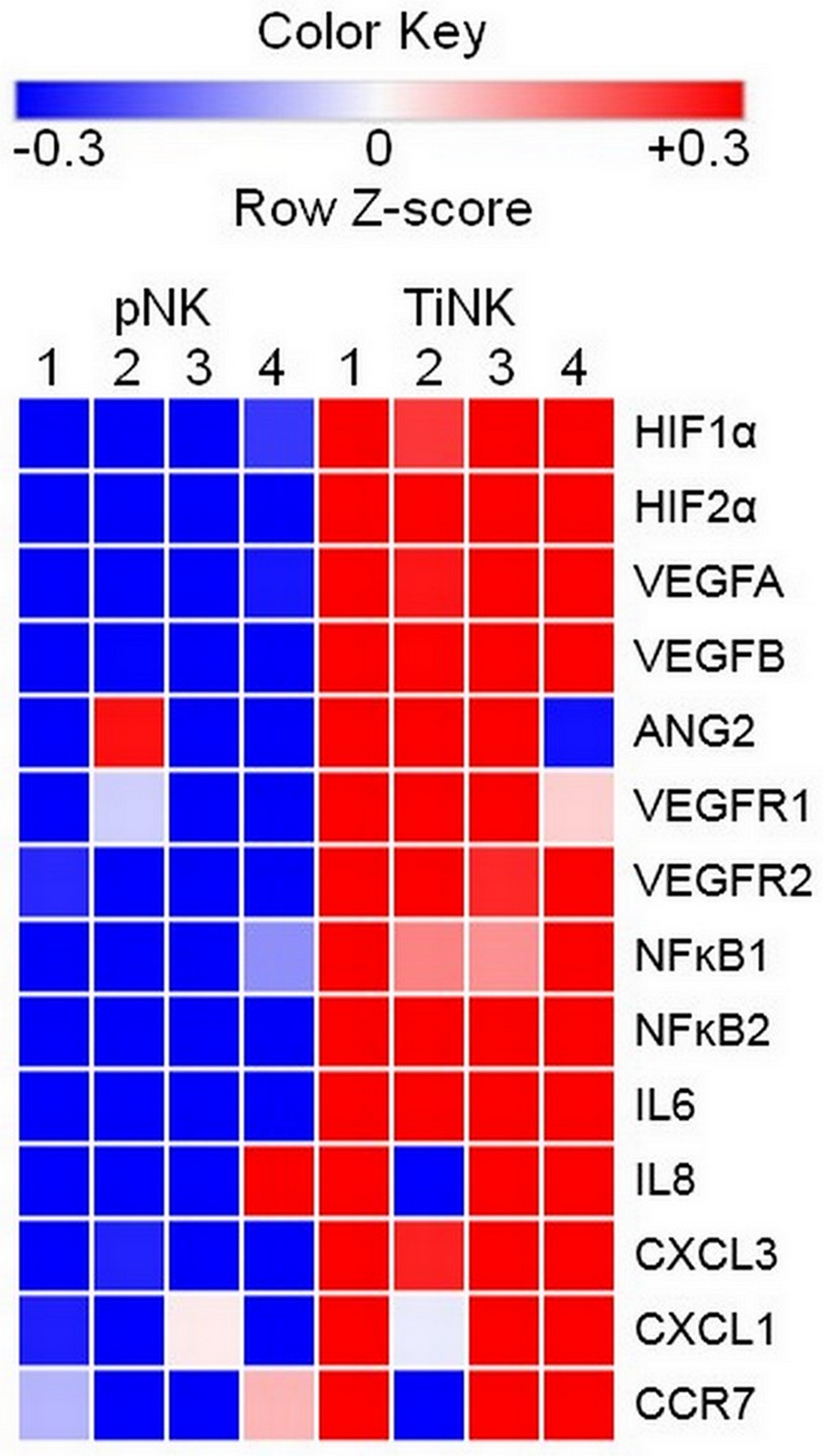 RCC TiNK cells have an altered transcriptional profiled compared to patient matched pNK cells