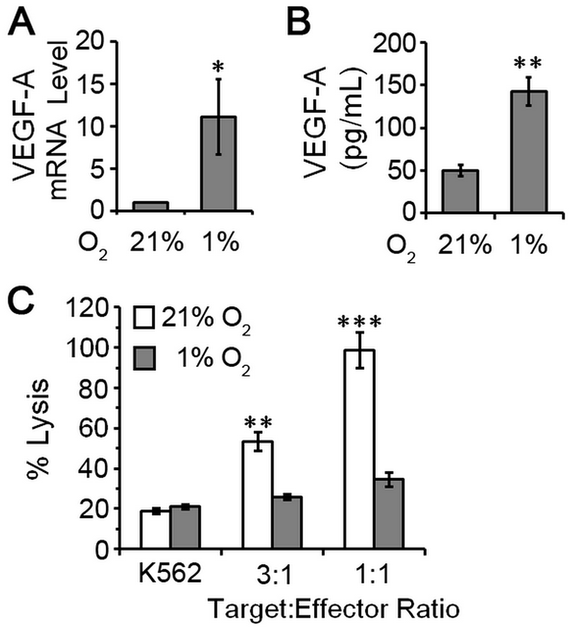 pNK cells exposed to hypoxia are poorly cytotoxic and proangiogenic