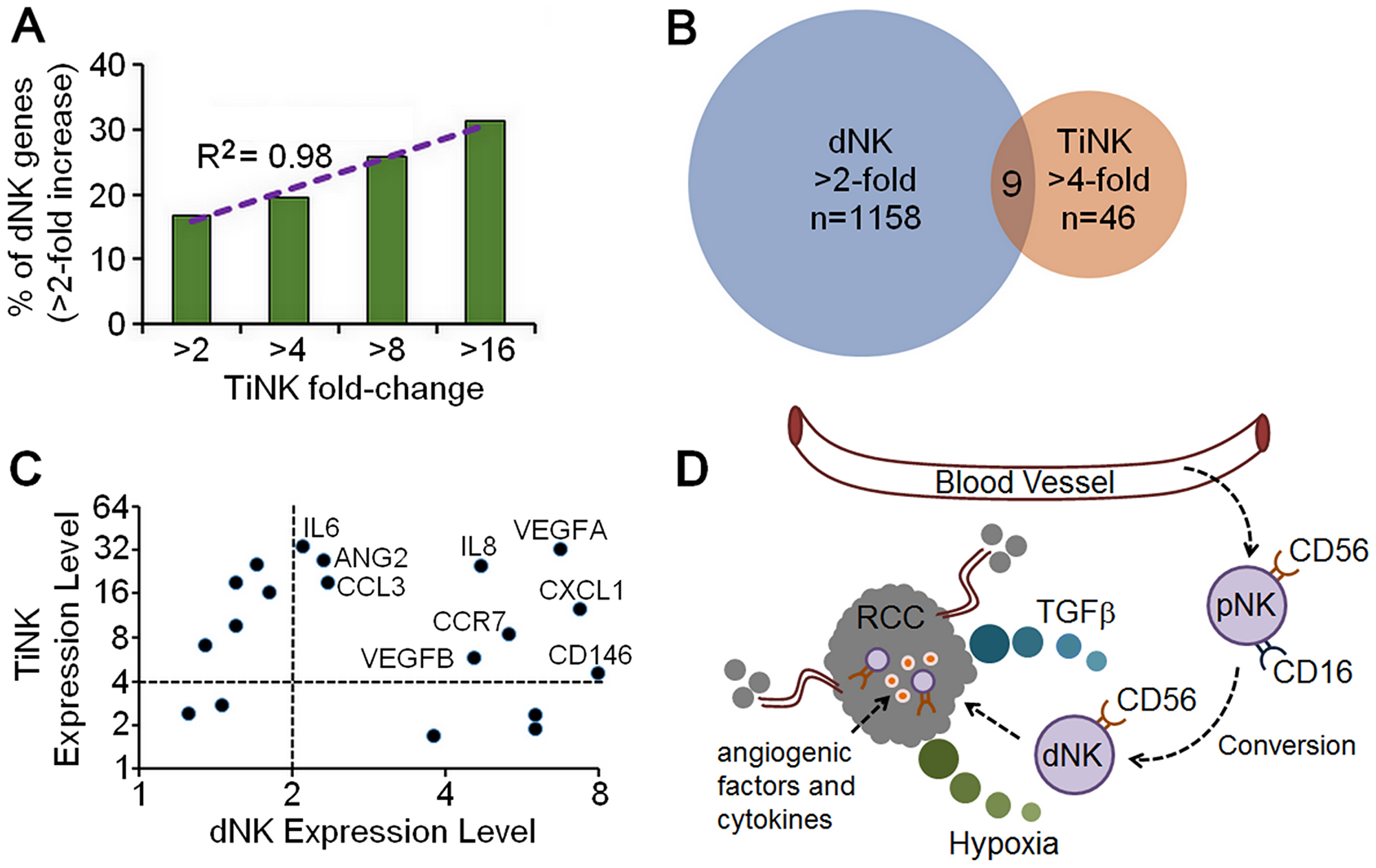 Similarities in gene expression for RCC TiNK and dNK cells