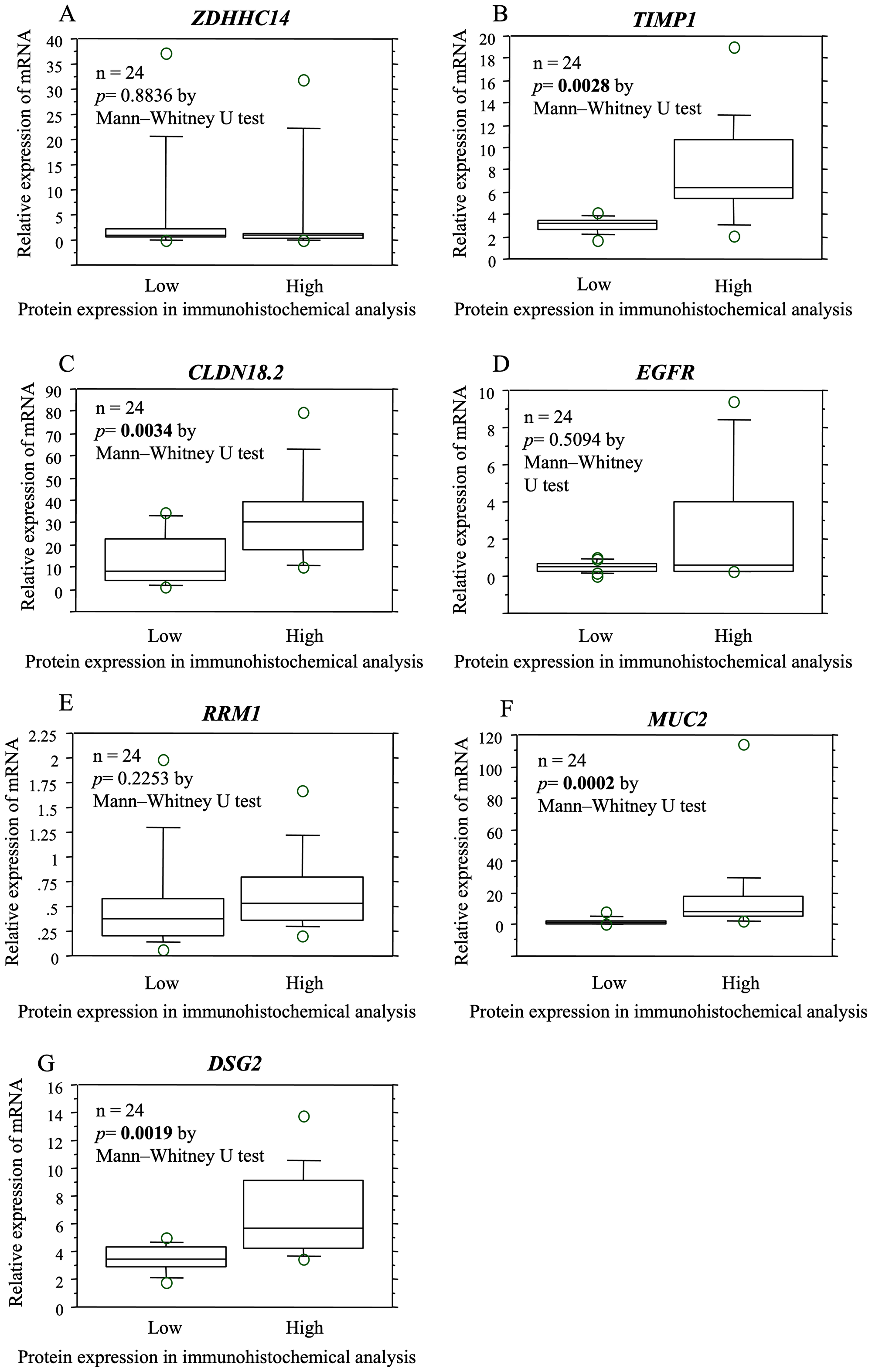 The relationship between protein and gene expression determined by immunohistochemical and mRNA expression analysis in the same specimens