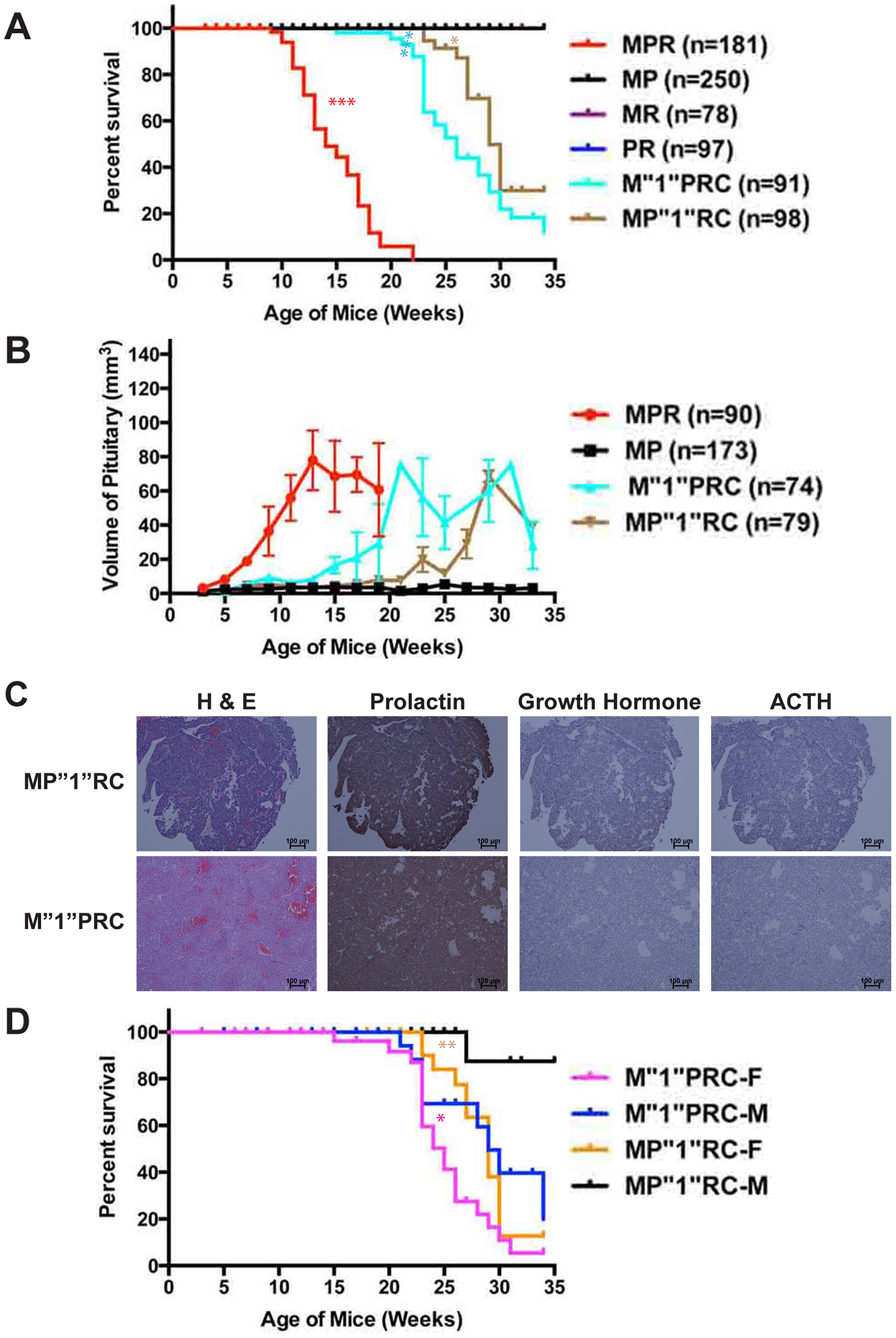 Pten plays a more significant role in suppressing PitNETs compared to Men1