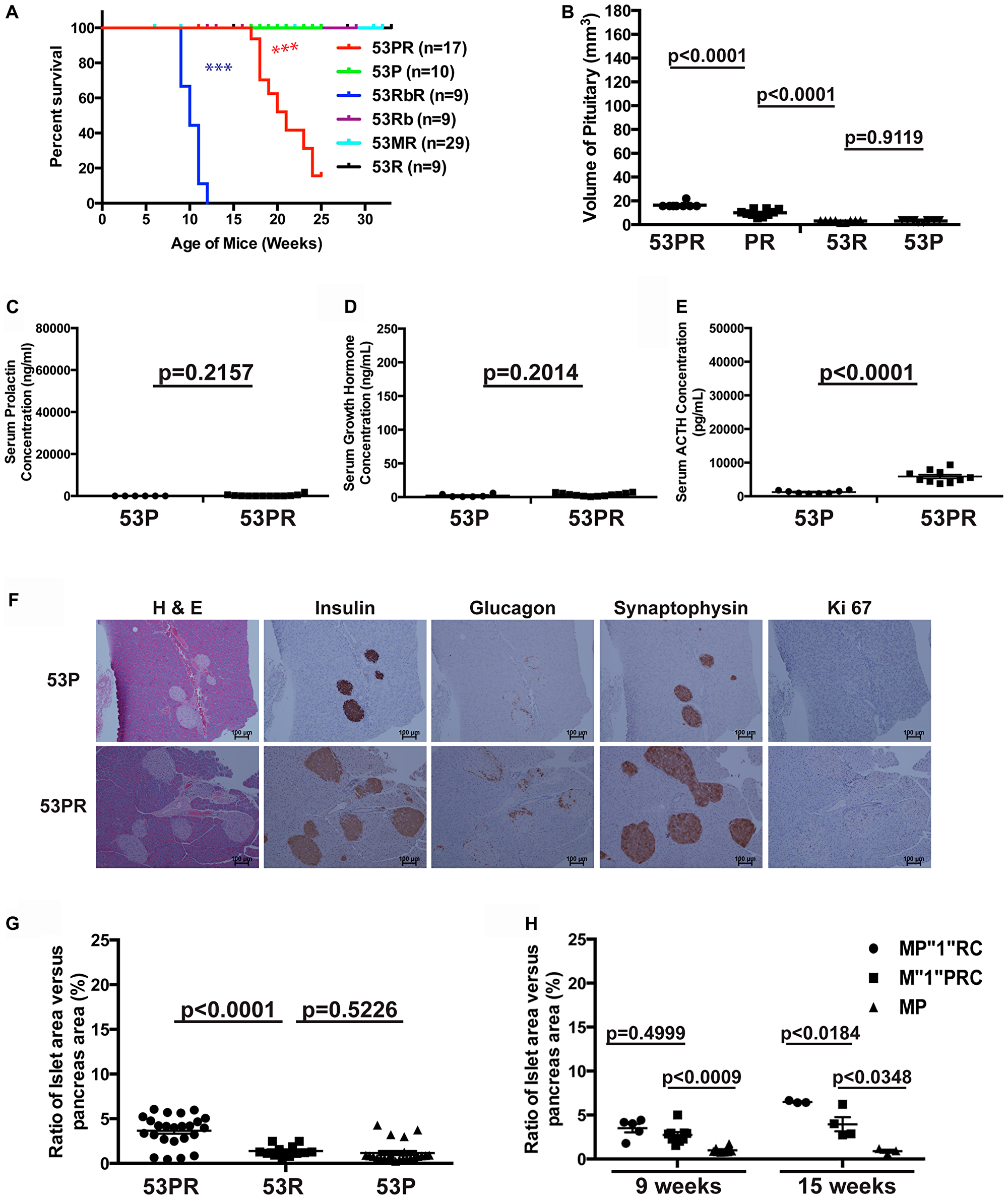 Trp53 and Pten had weak cooperative function in suppressing pituitary growth
