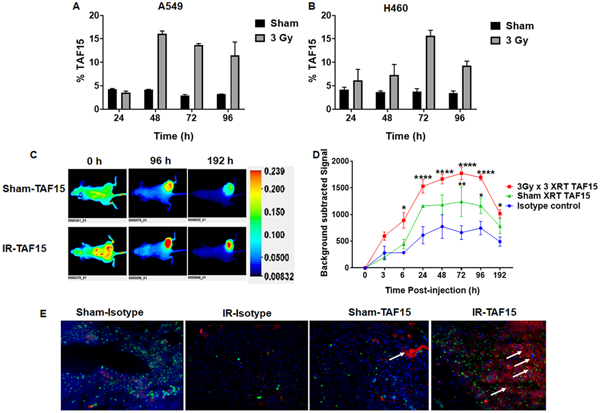 TAF15 is induced by radiation in vitro and in vivo