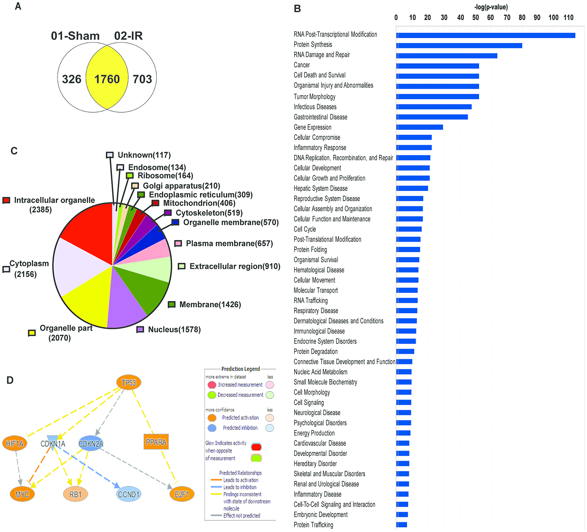 Co-immunoprecipitation studies with anti-TAF15 antibody identify various roles of TAF15 in lung cancer