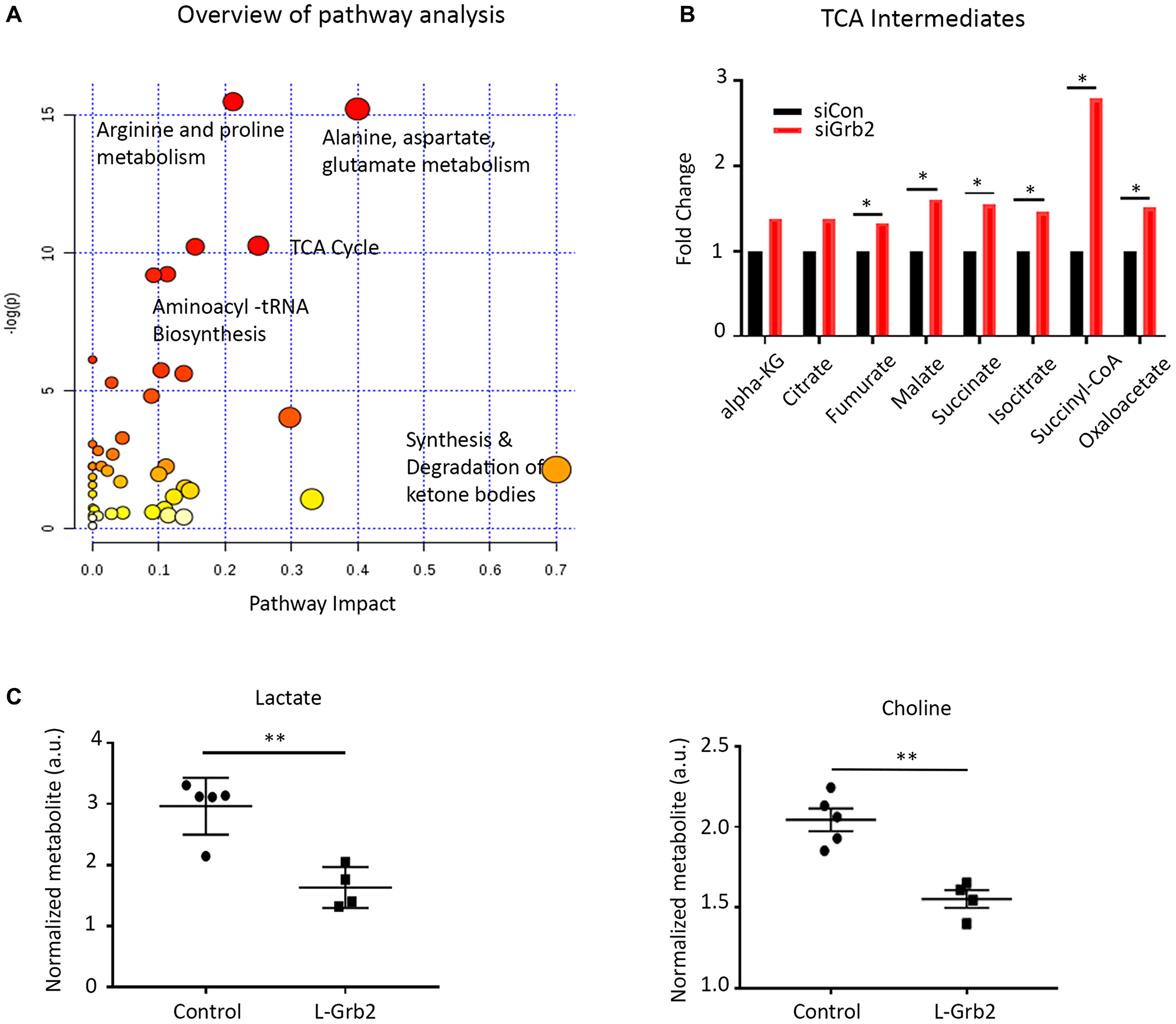 Effect of Grb2 downregulation on metabolite levels in ovarian cancer cells