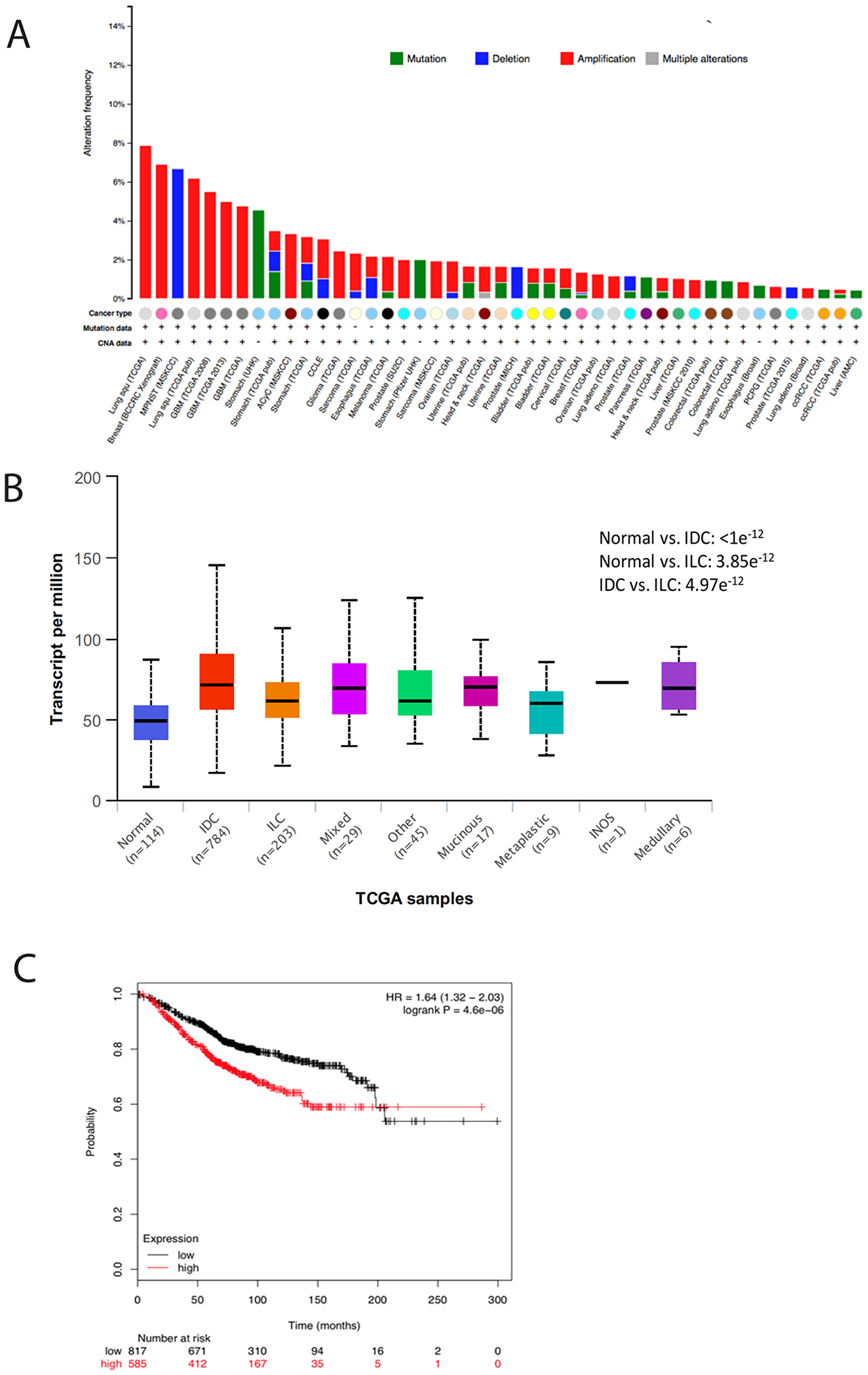 TMEM165 is increased in many human cancers and correlates with reduced overall survival