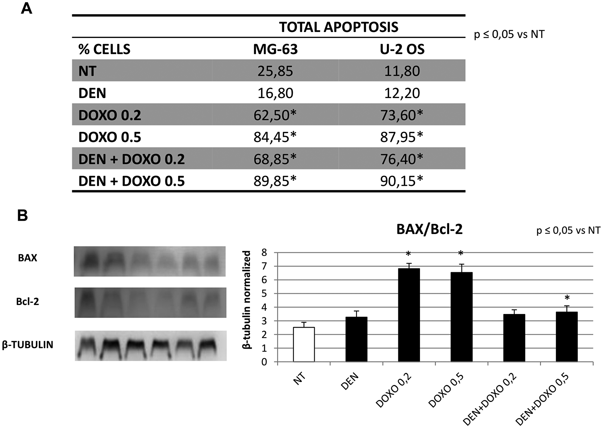 Apoptosis evaluation in OS cell lines after treatment with Den and Doxo determined by cytofluorimetric assay and by Western blot (BAX/Bcl-2 ratio)