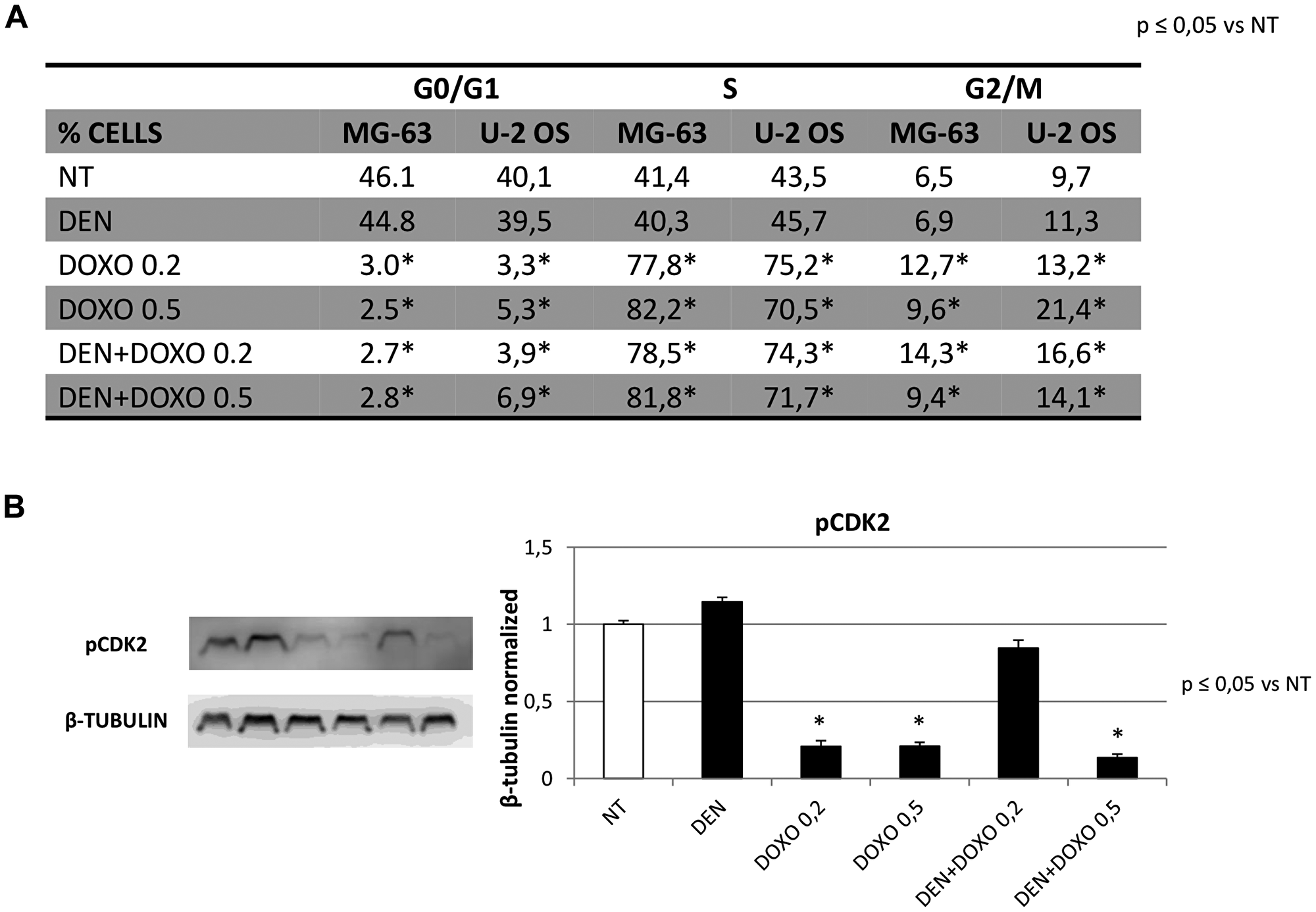 Cell Cycle progression in OS Cell lines before and after treatment with Den and Doxo by cytofluorimetric assay and Western Blotting (pCDK2)