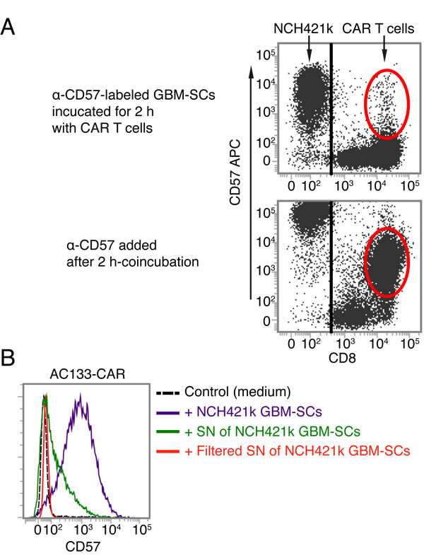 fig6
