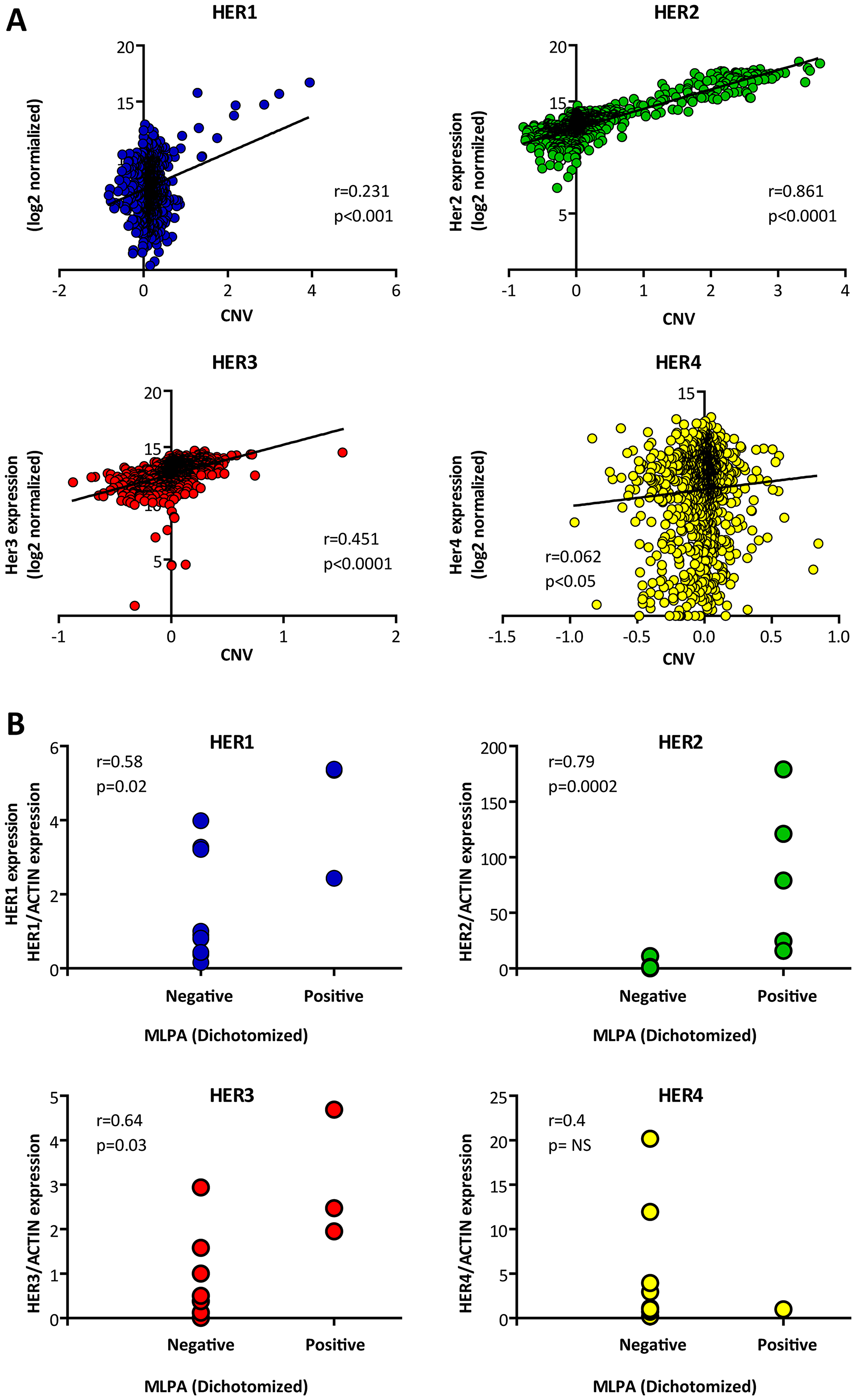 Correlation between gene amplification and expression