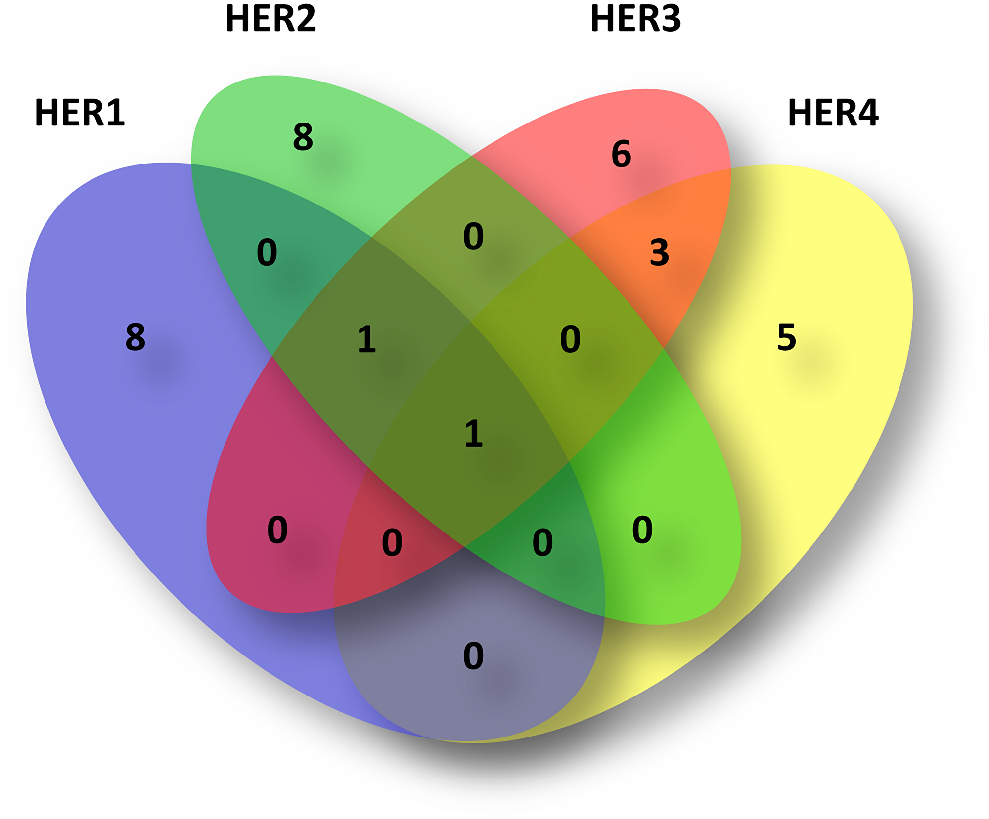 Venn diagram of HER amplified tumors
